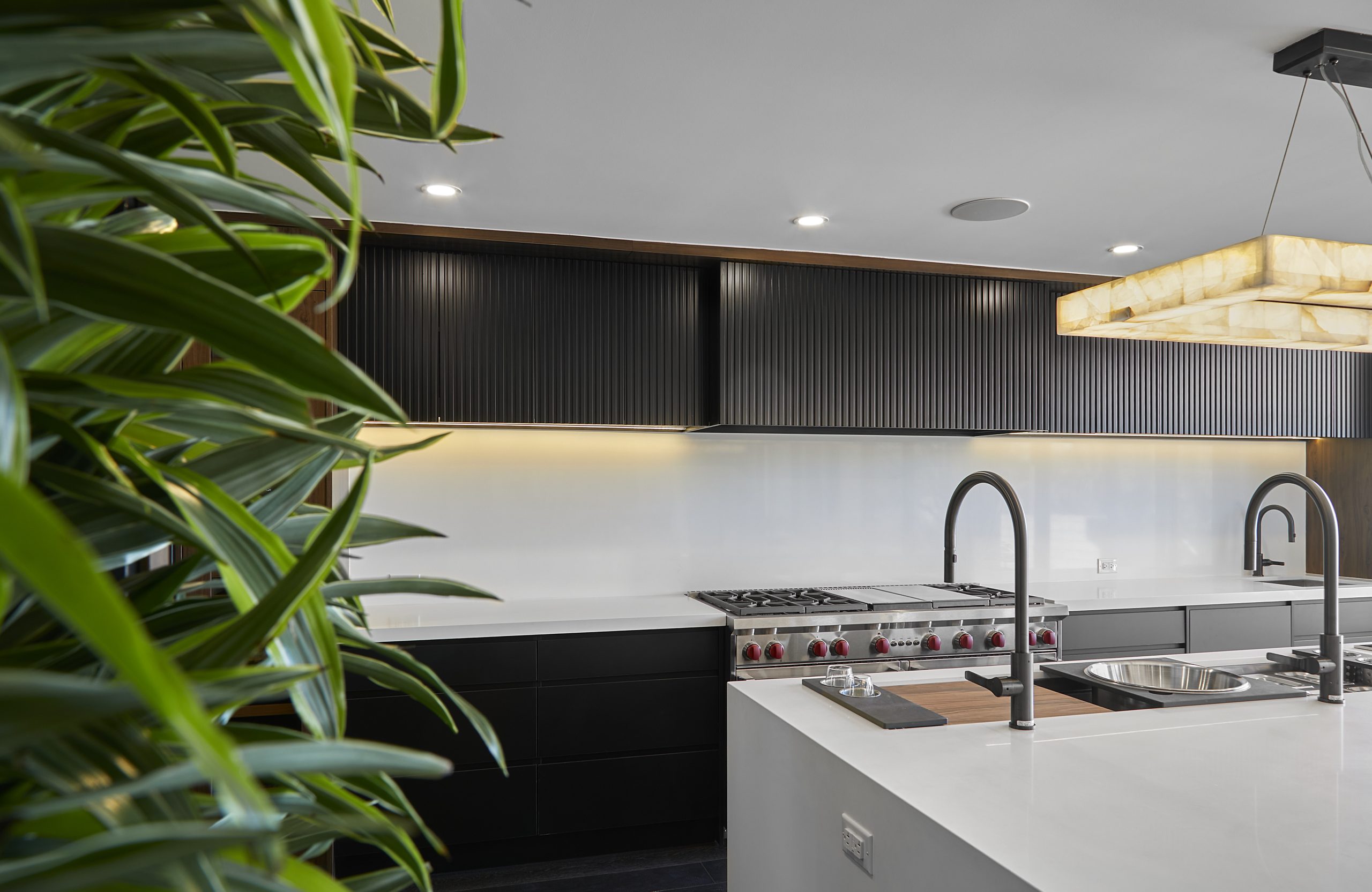 Outdoor kitchen beside lush planting