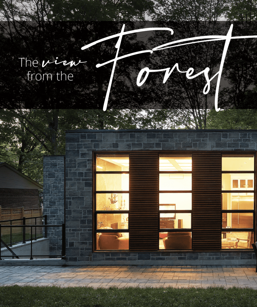 The View from the Forest: illuminated entrance to the Forestview Bungalow