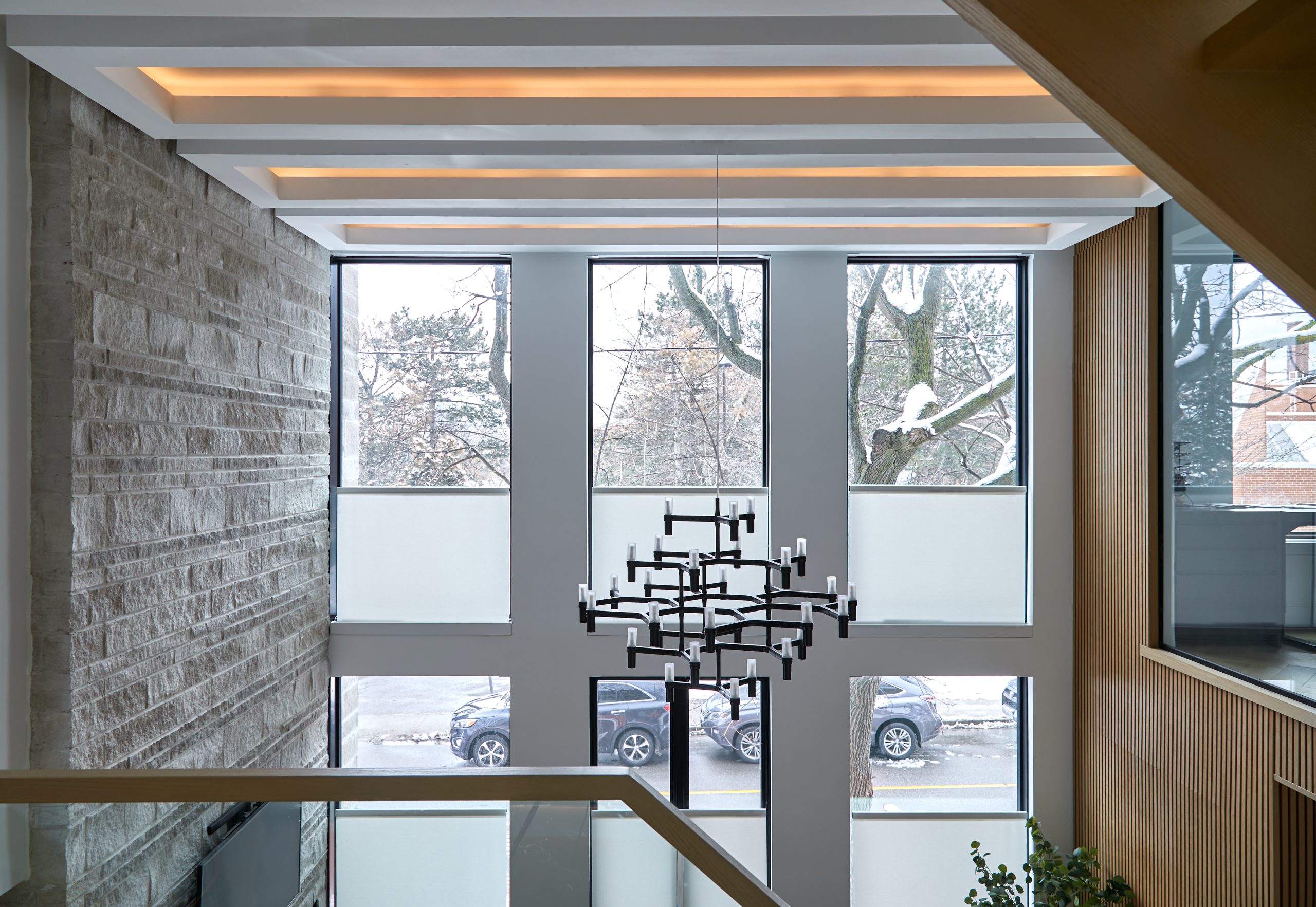 Double-height dining room and tree view