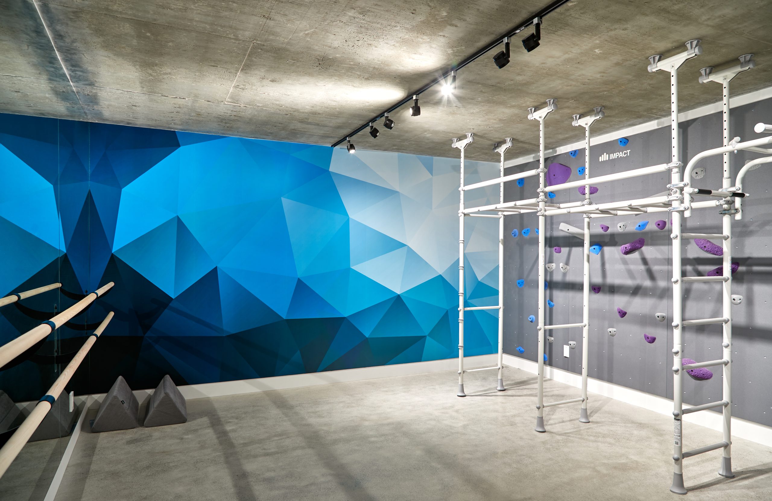 Swansea home gym and blue mural