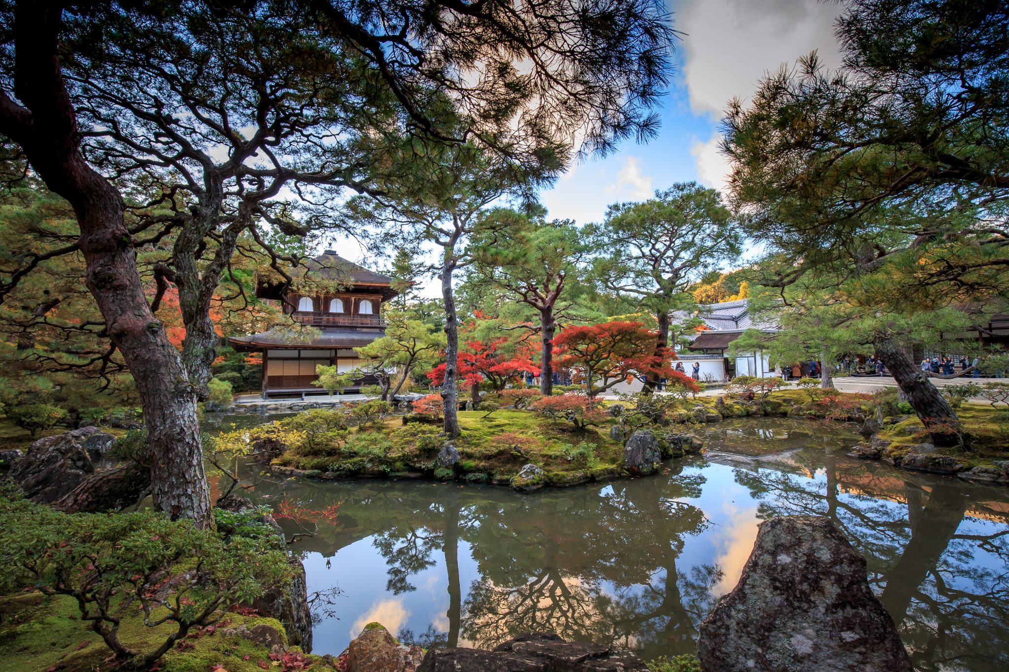 Trees and autumn foliage reflected in a garden pond