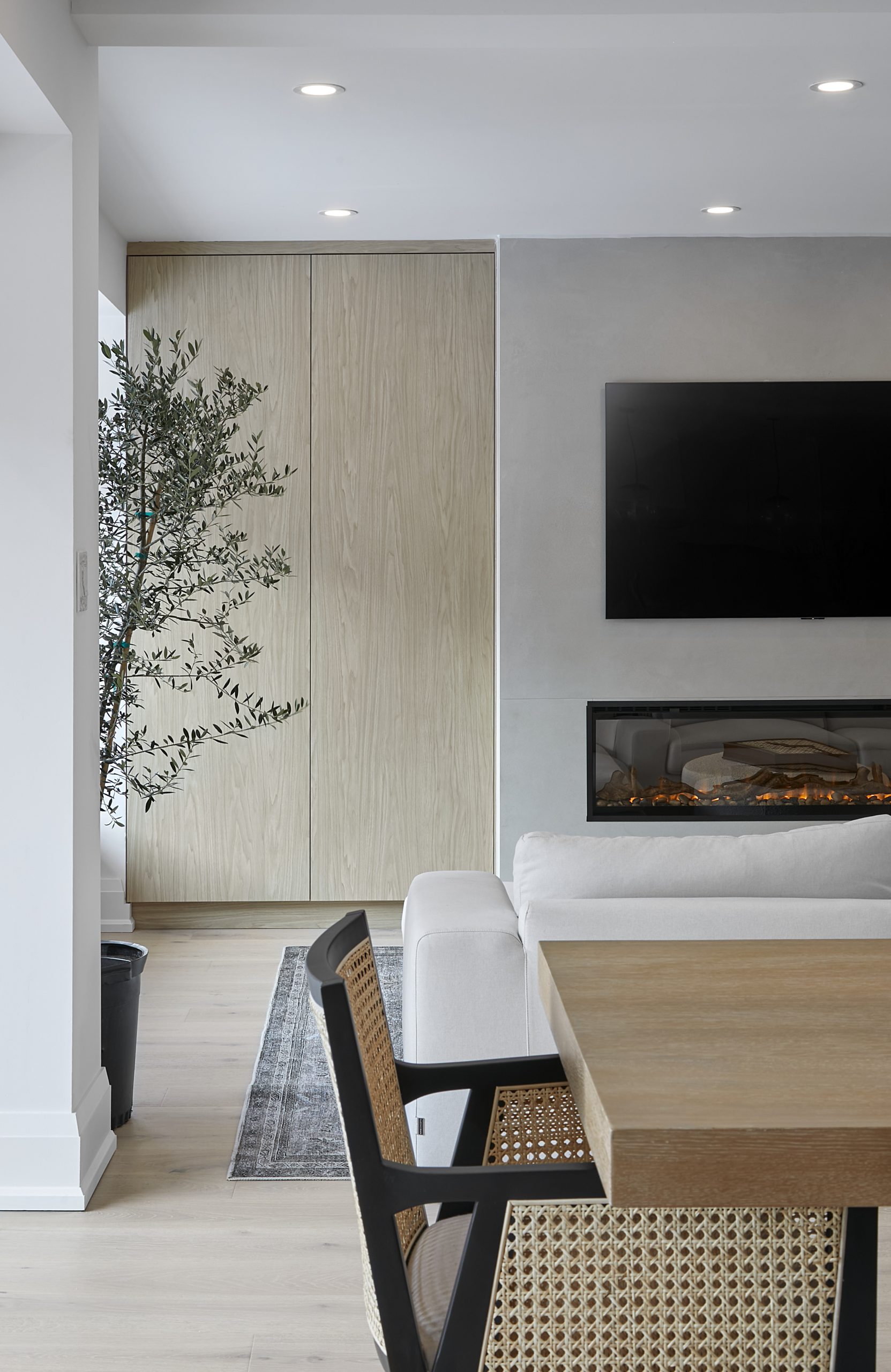 Fireplace and television wall