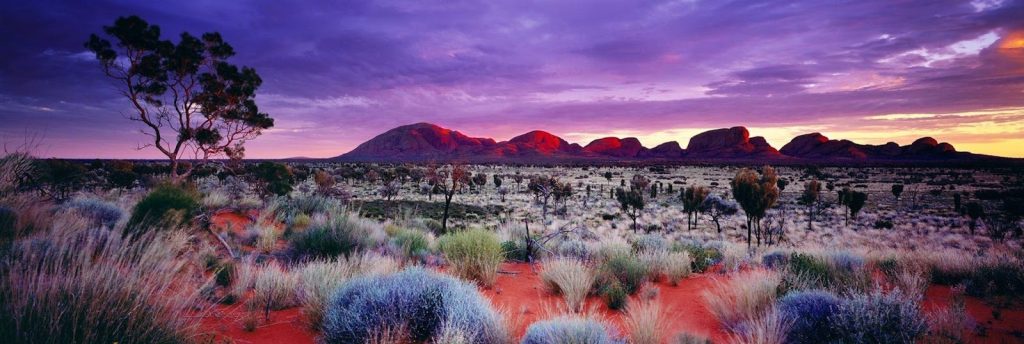 Panoramic desert landscape beneath a purple sunset sky
