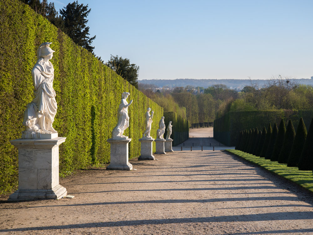 Marble statues lining a path beside a tall clipped hedge