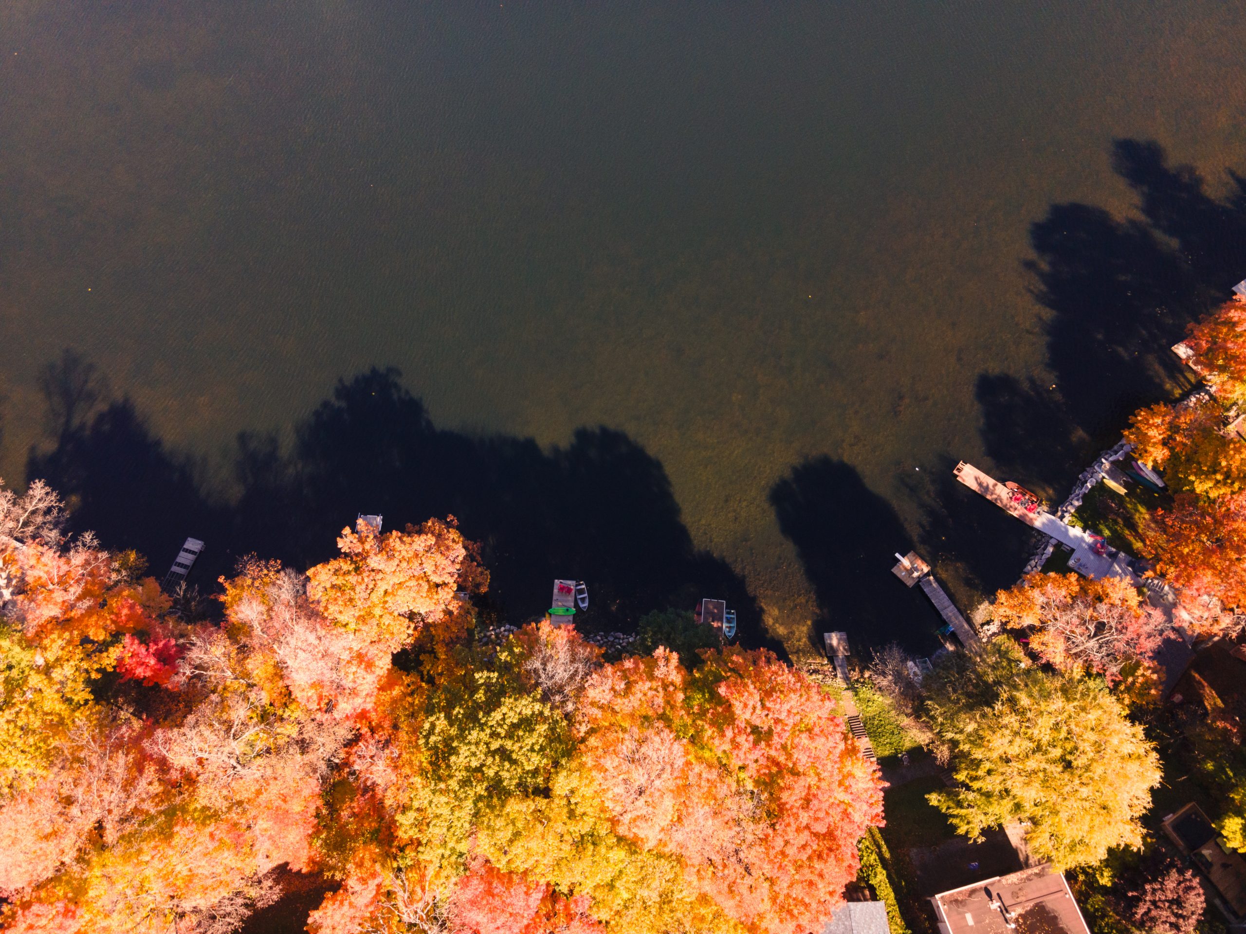 Autumn foliage illuminated above the lakehouse site