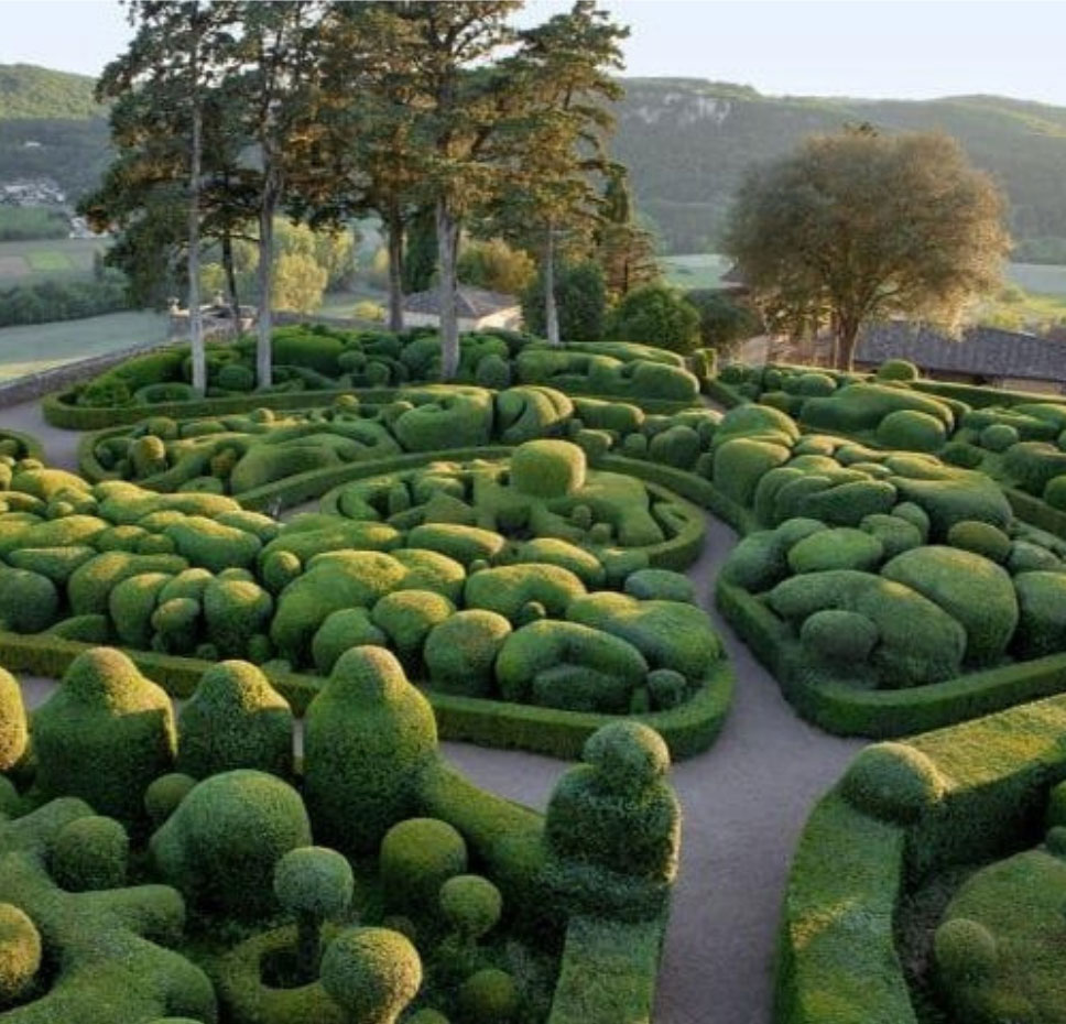 Rounded clipped shrubs surrounding winding garden paths