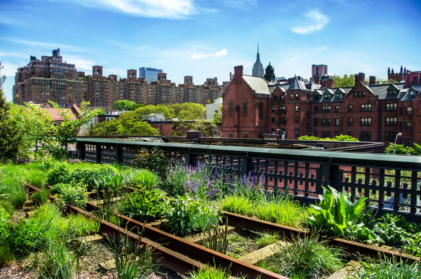 Planted rooftop terrace overlooking city buildings