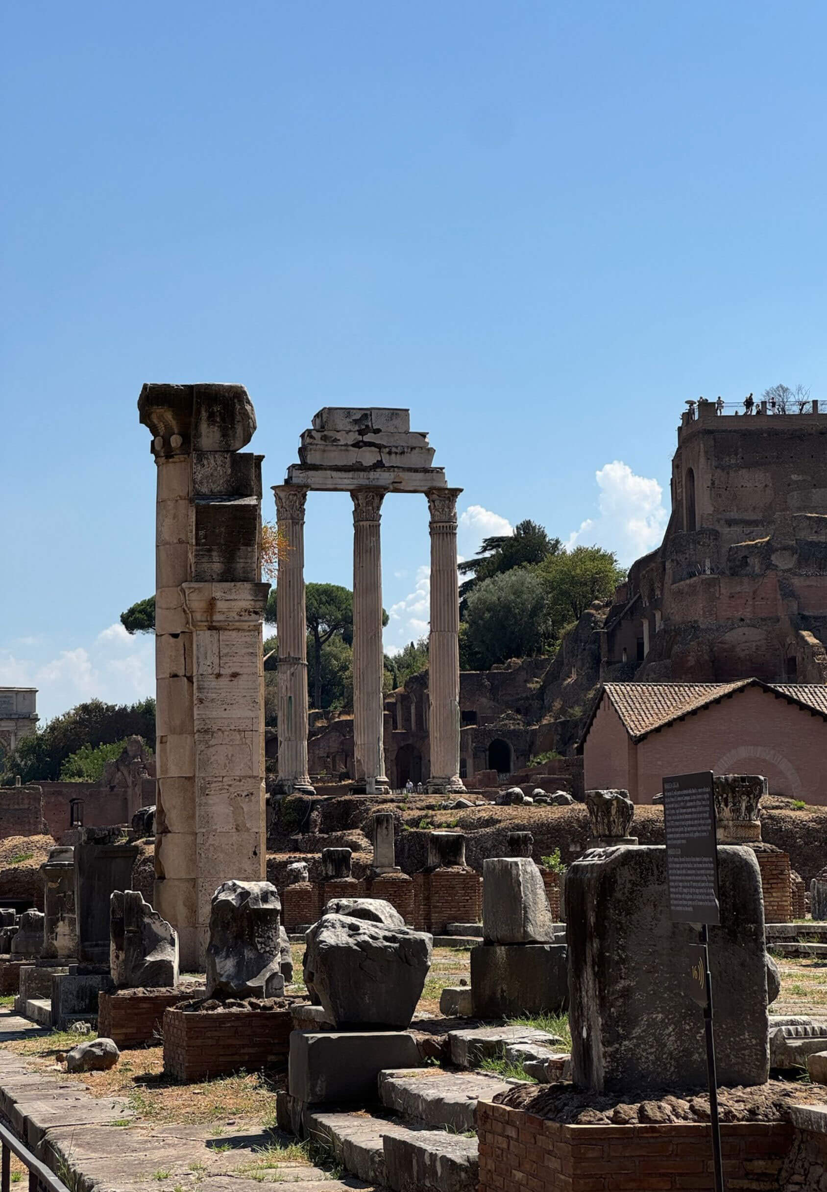 Ancient columns and stone ruins in the Roman Forum