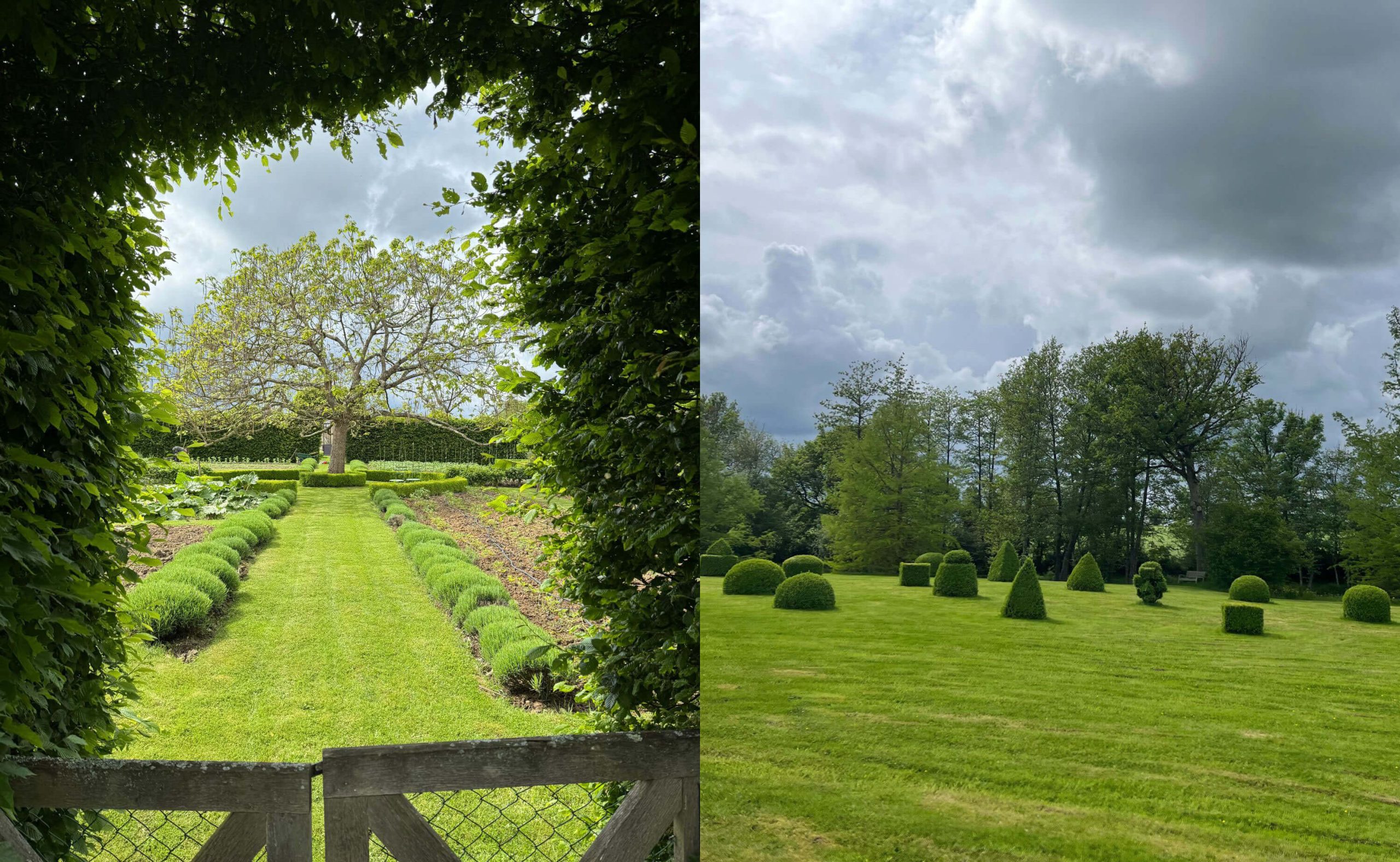 Paired views of a shaded garden avenue and formal lawns