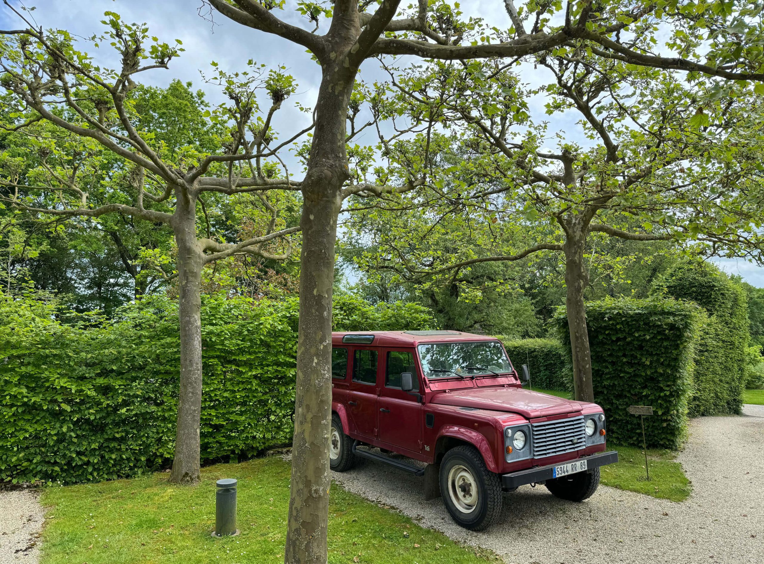 Red off-road vehicle beneath trained garden trees