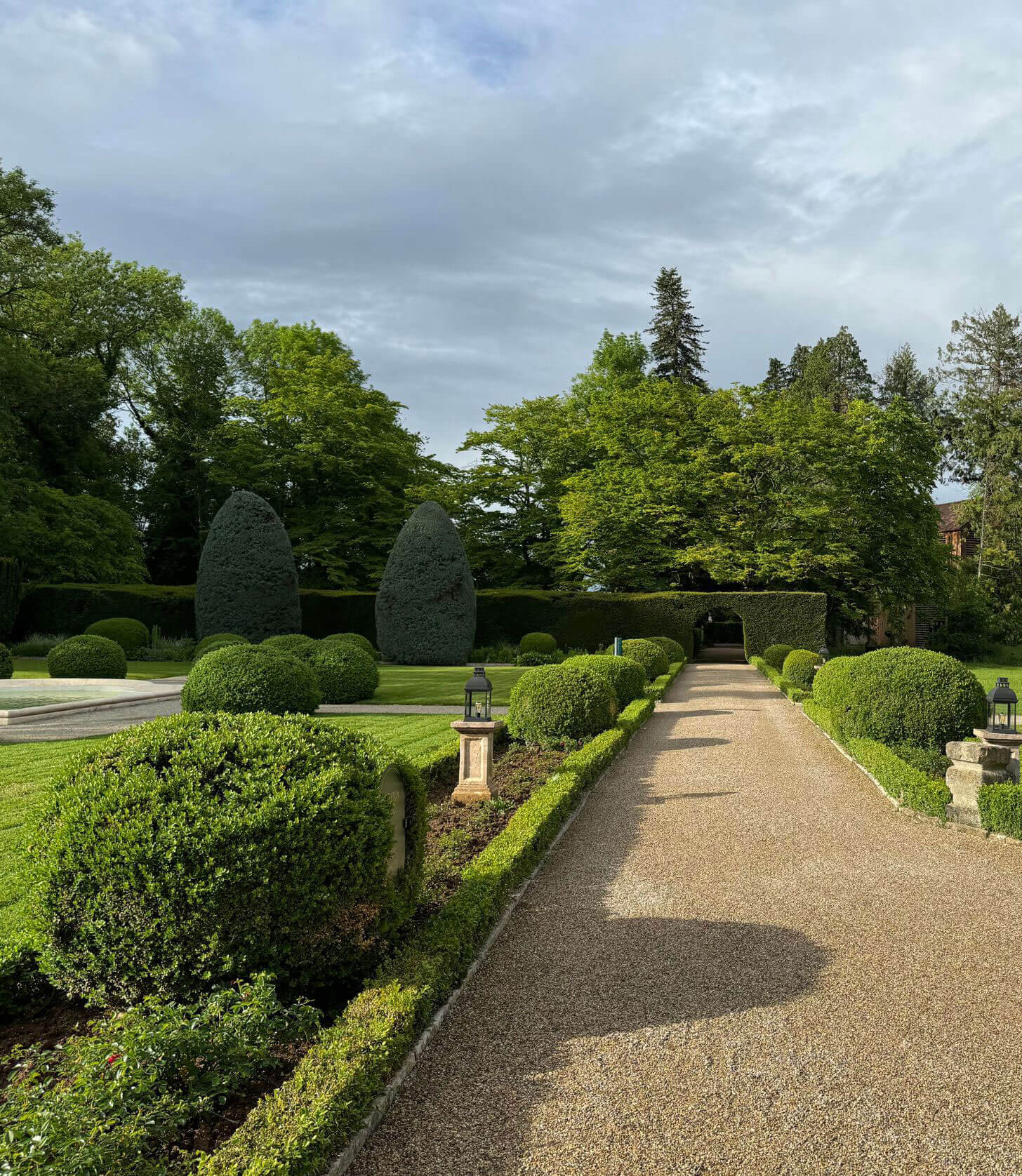 Gravel path leading toward clipped garden forms
