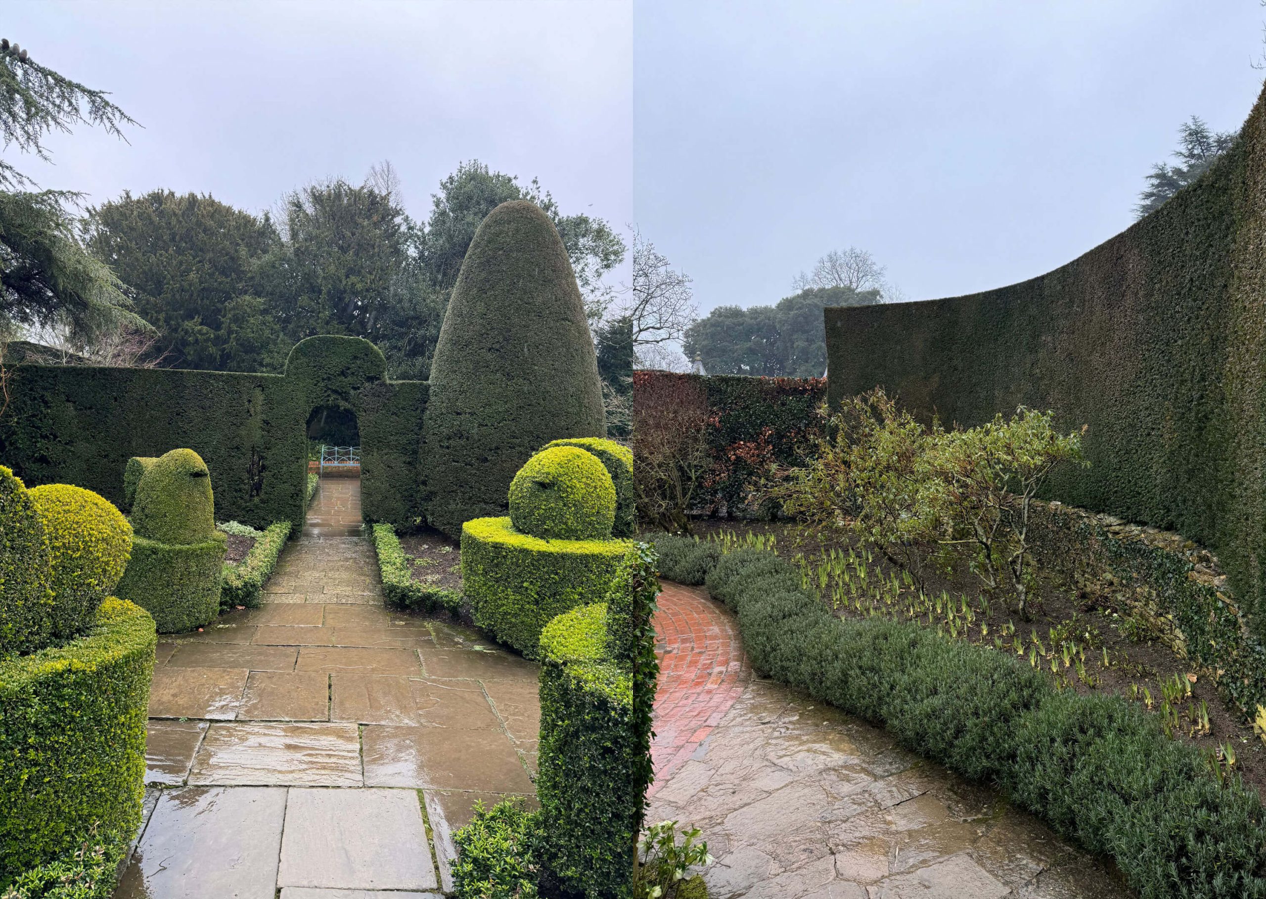 Clipped topiary beside a paved garden path