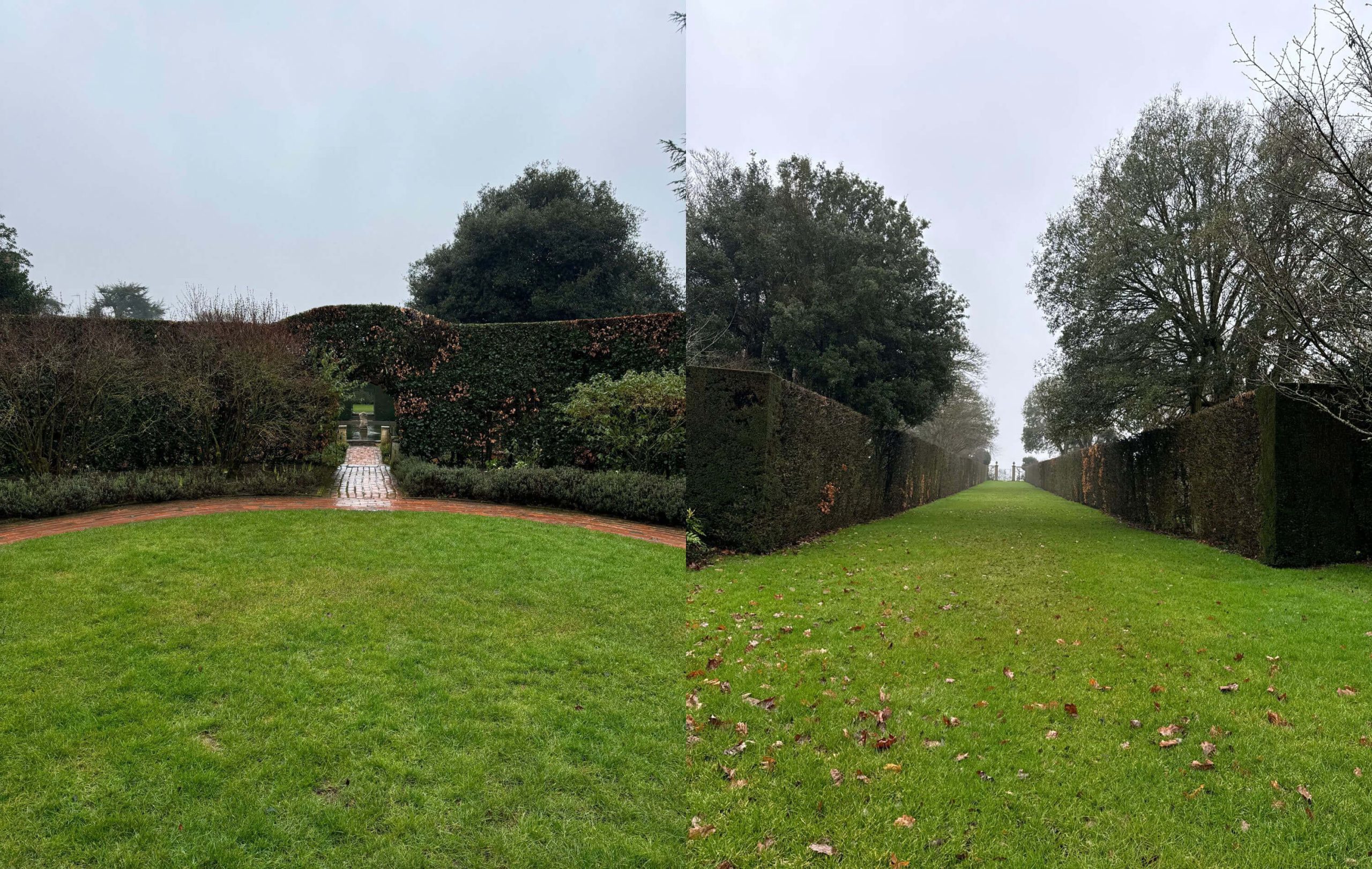 Formal lawns enclosed by tall hedges