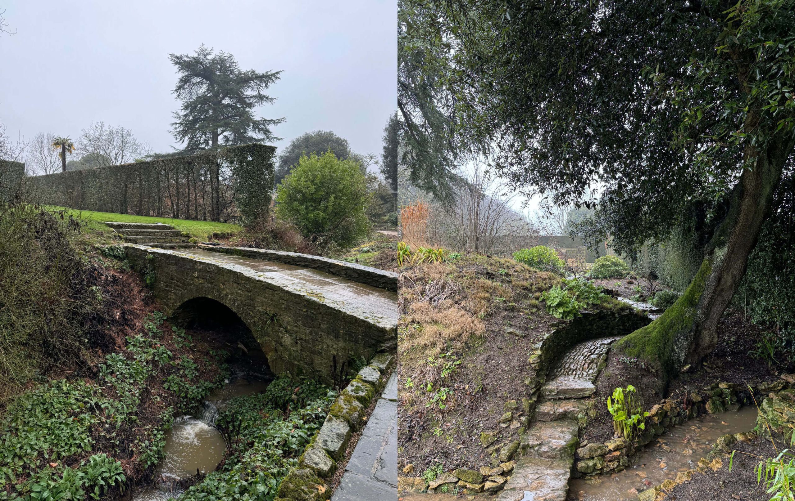 Stone garden bridge and shaded woodland path
