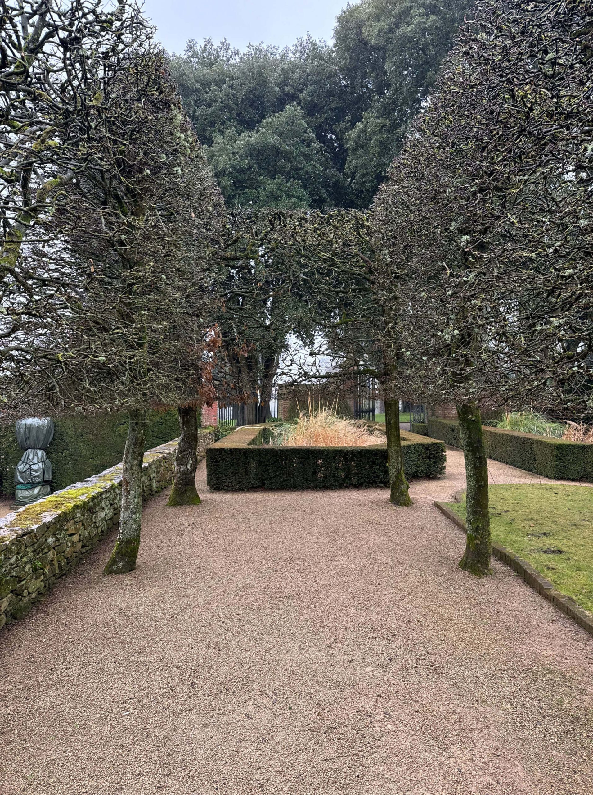 Gravel terrace framed by clipped trees