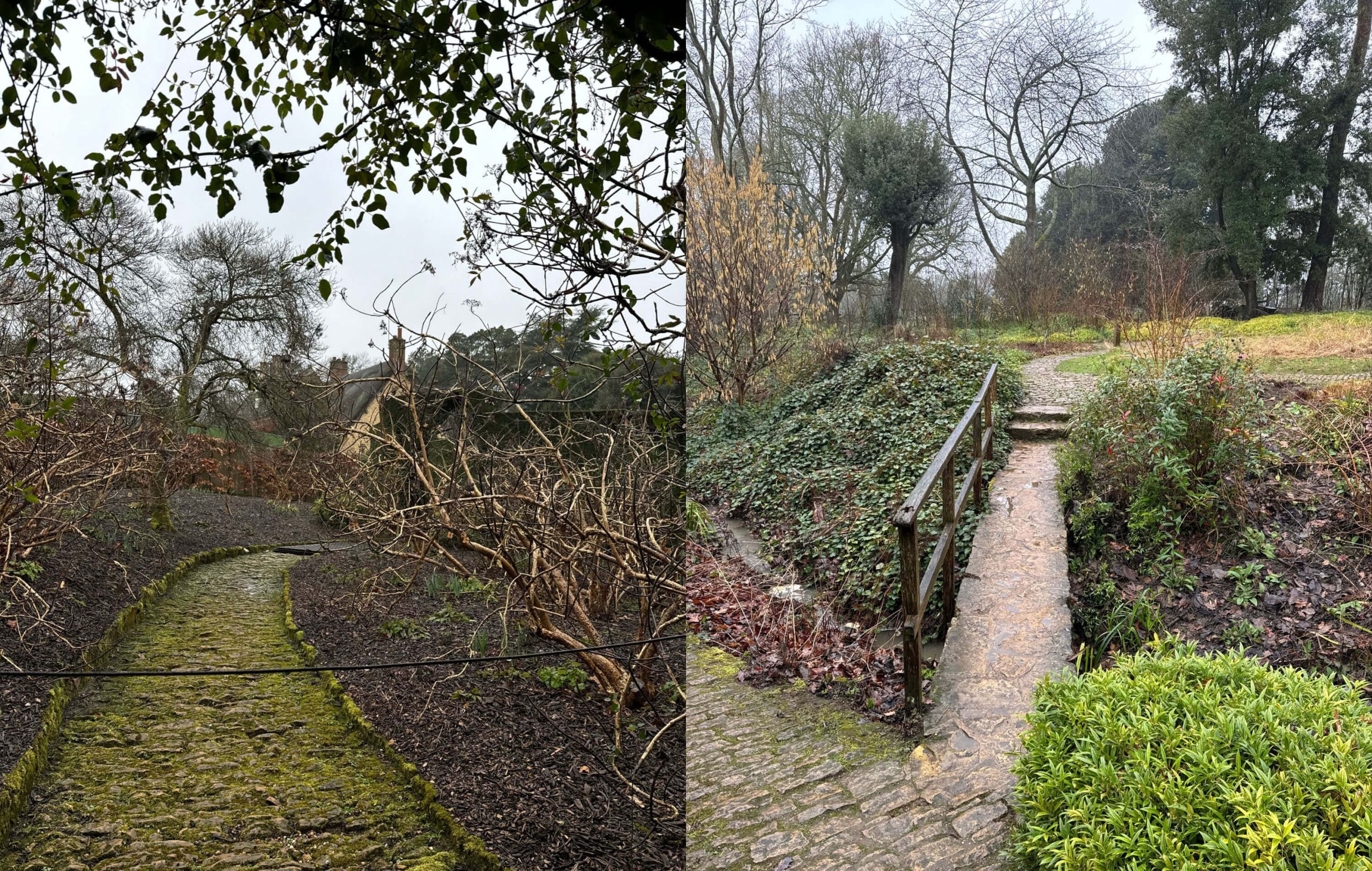 Paired views of narrow planted garden paths