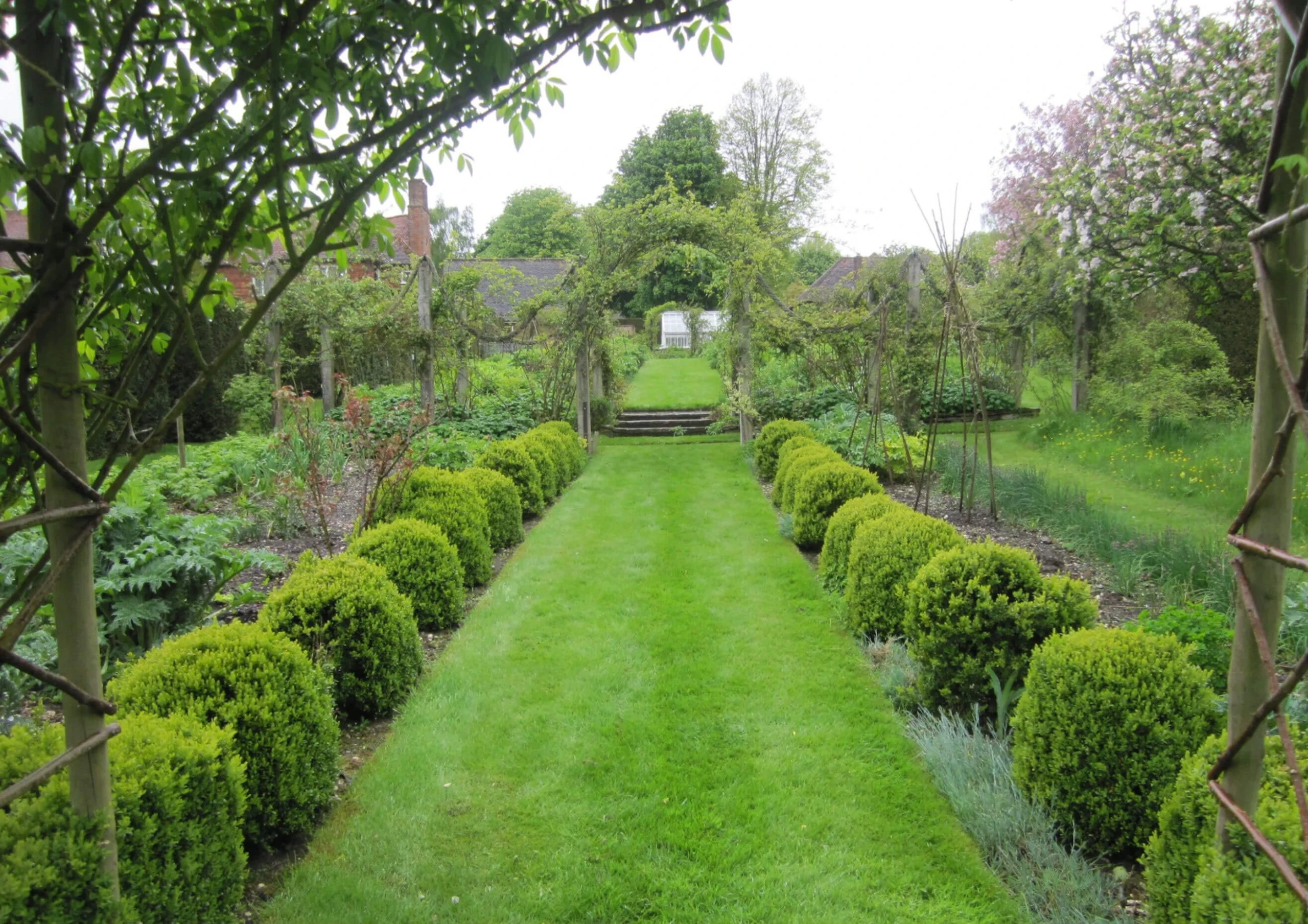 Grass path lined with clipped hedges and flowering borders