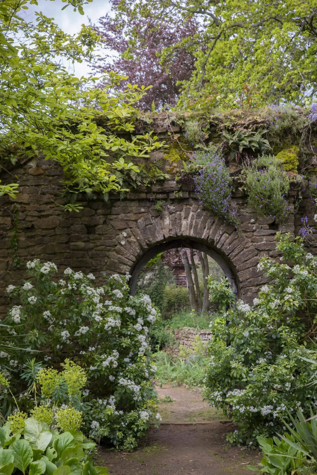 Flowering garden around a stone archway