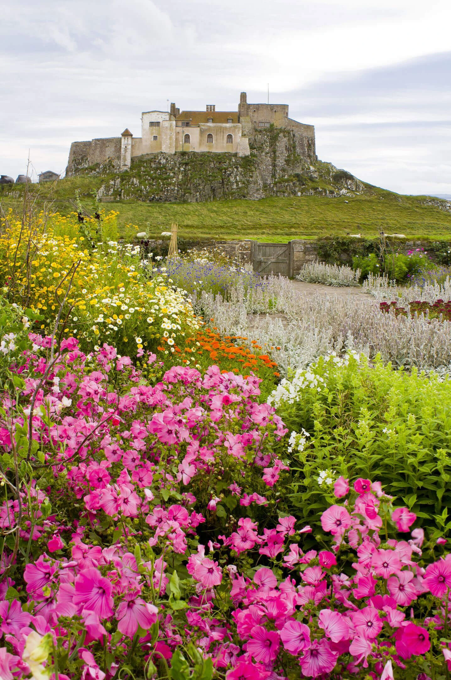 Colorful flowering borders below a castle on a hill
