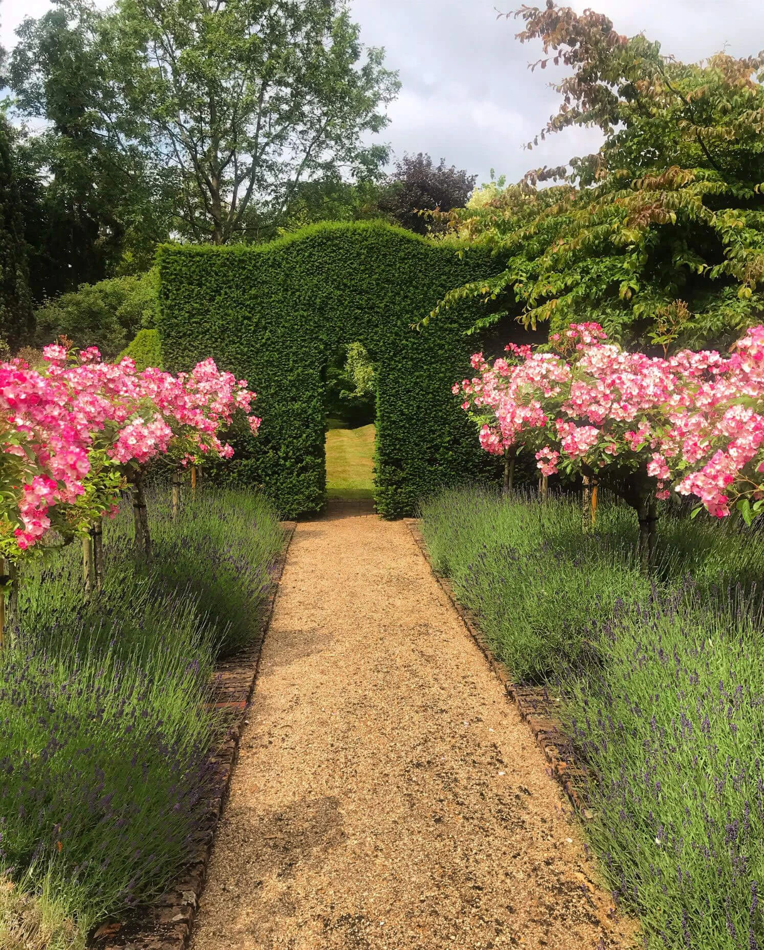 Gravel path through flower borders and a clipped hedge arch