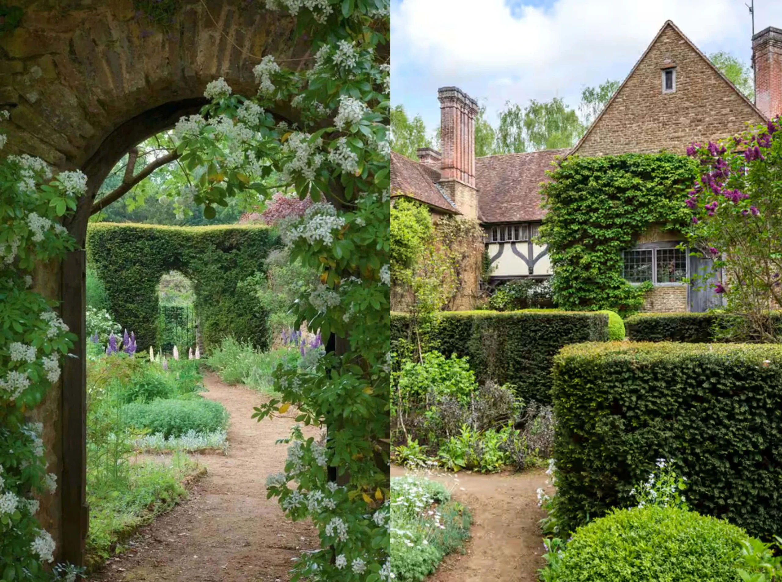 Garden arch and cottage with climbing plants