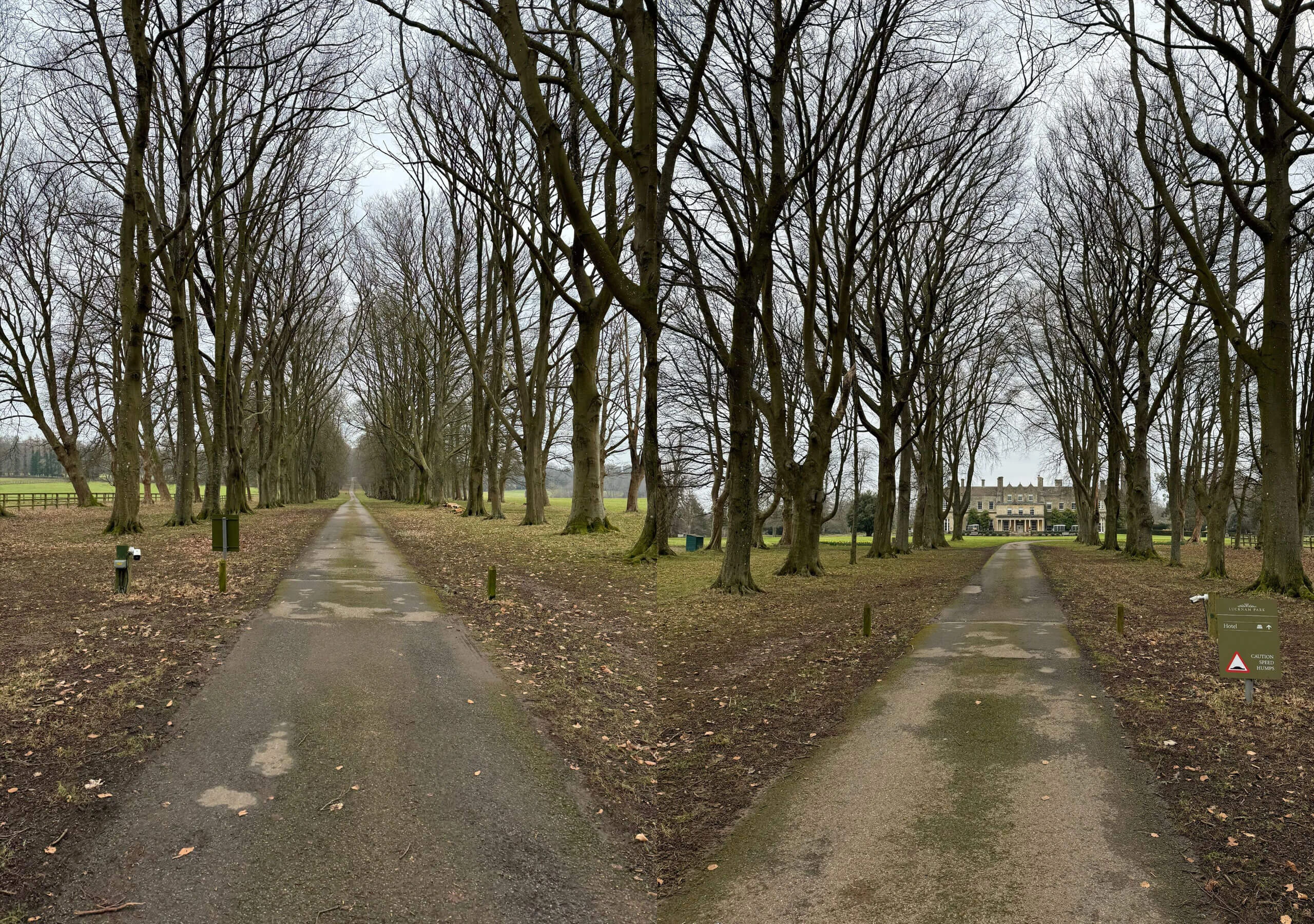 Paired views of tree-lined estate drives