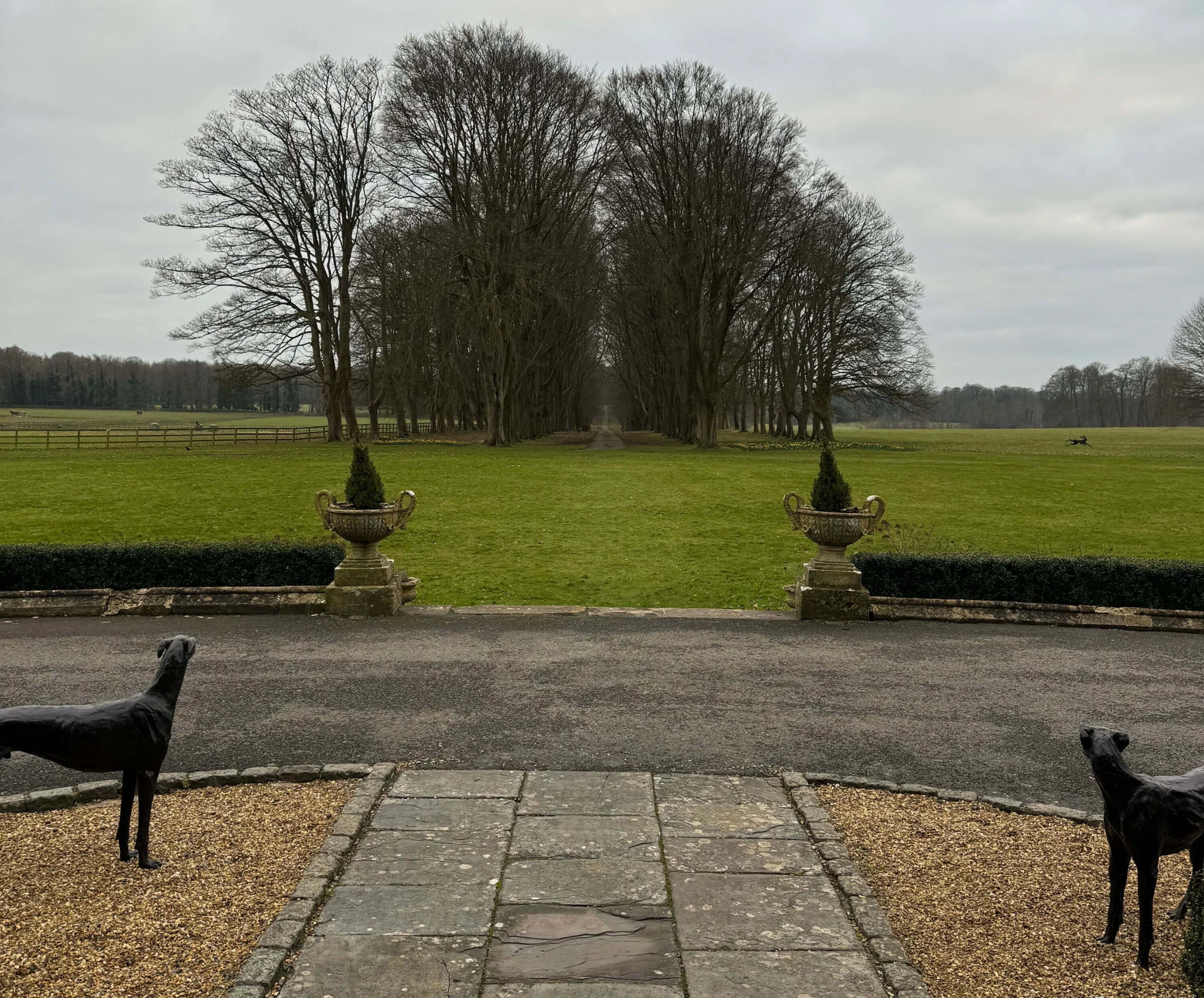 Stone terrace overlooking an avenue across the lawn
