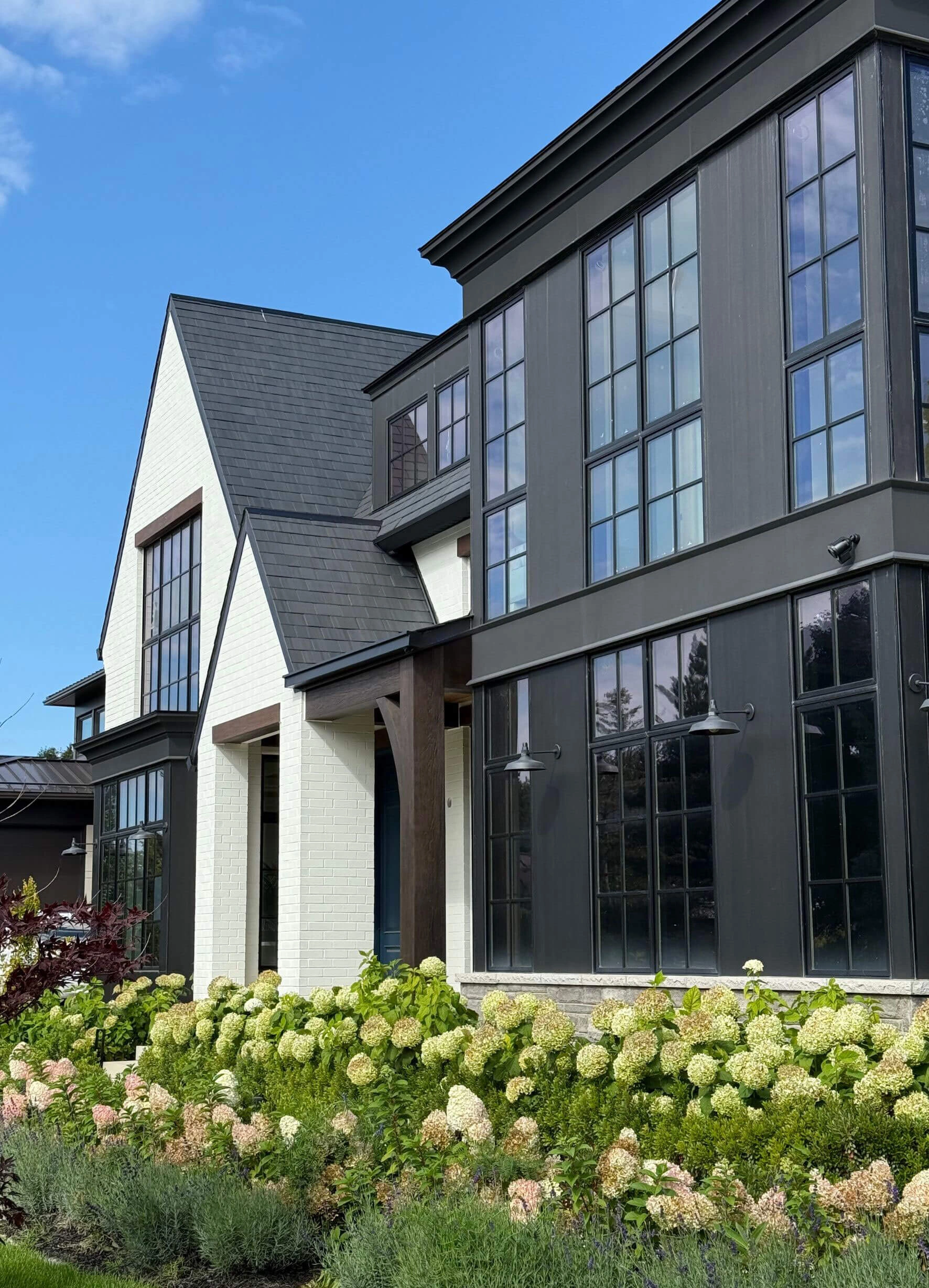 Modern residence framed by mature hydrangea planting