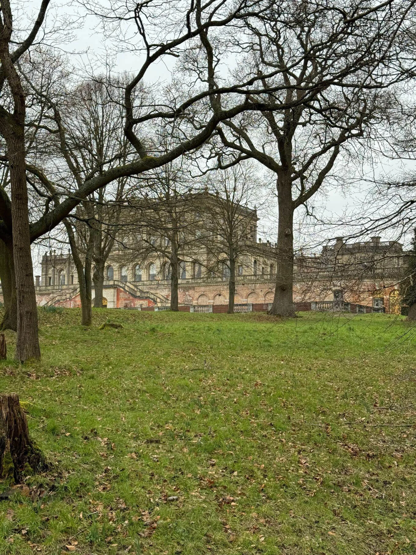 Manor buildings viewed through bare woodland trees