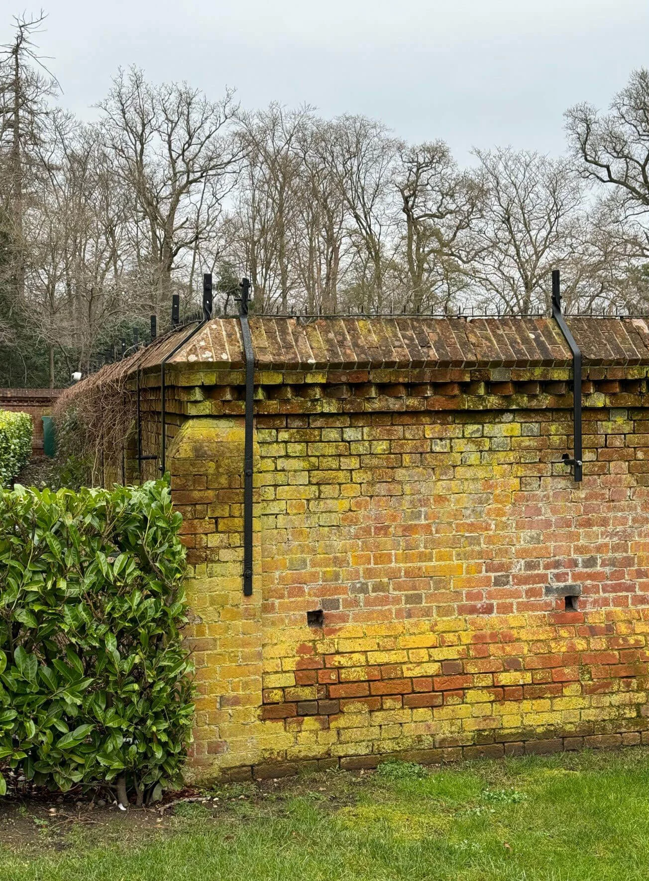 Weathered brick garden wall beneath mature trees