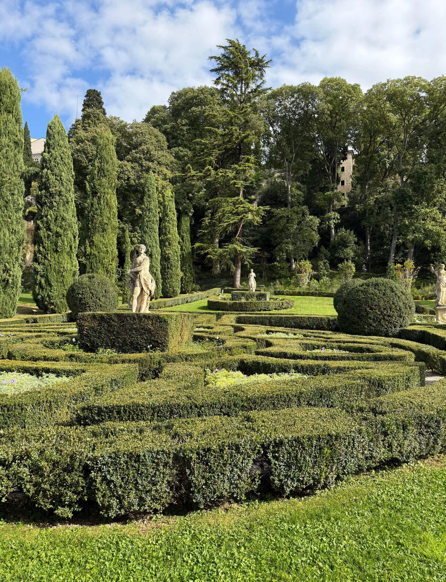Layered ornamental hedges beneath mature garden trees