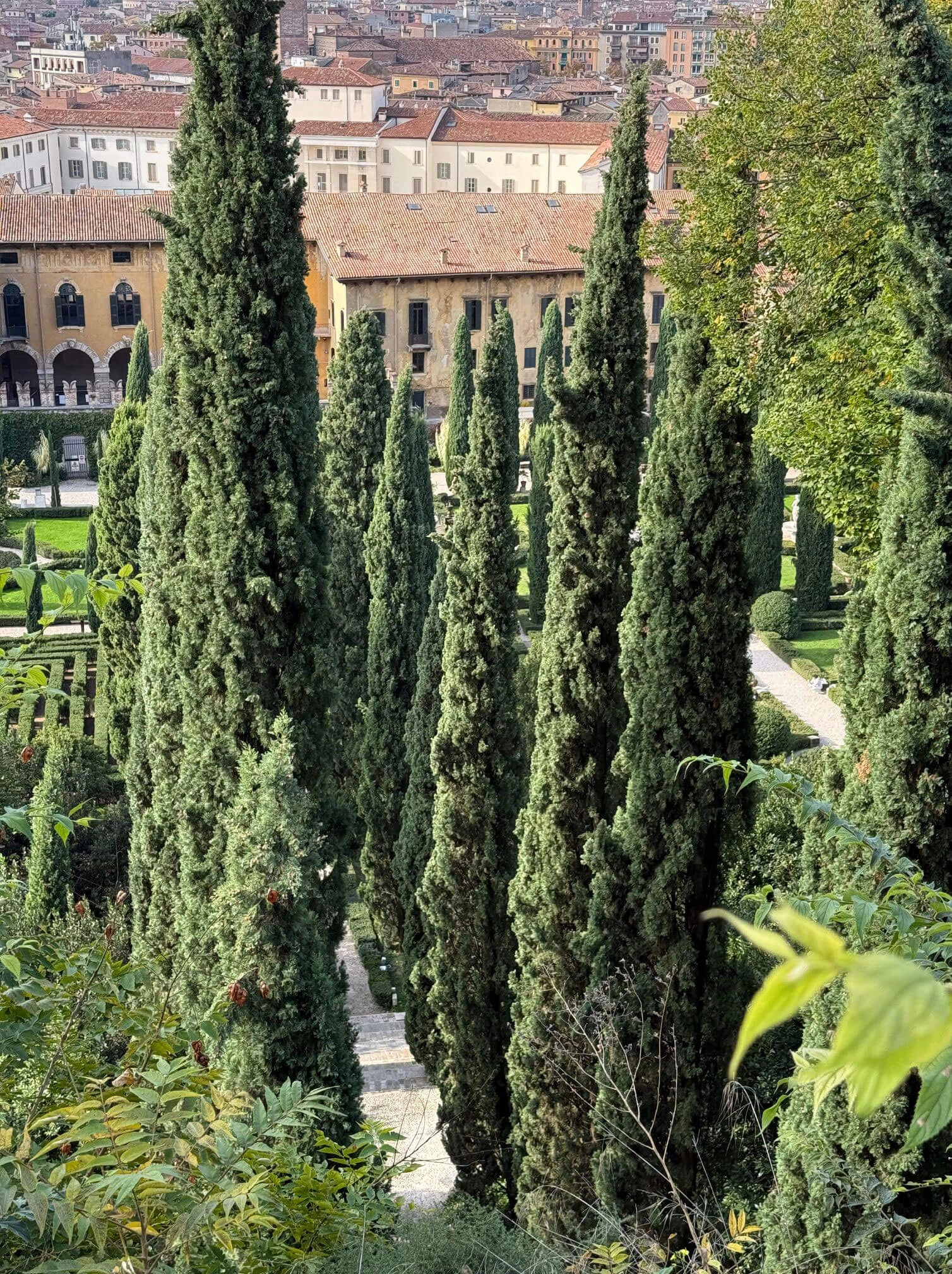 Cypress avenue at Giardino Giusti viewed from an upper terrace