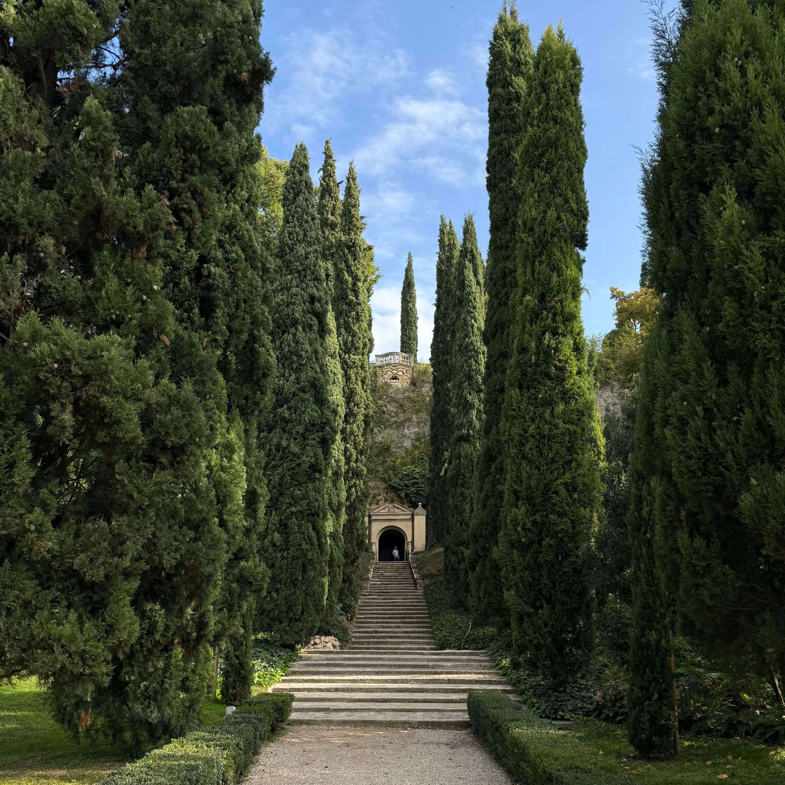 Stone stairway climbing between tall cypress trees