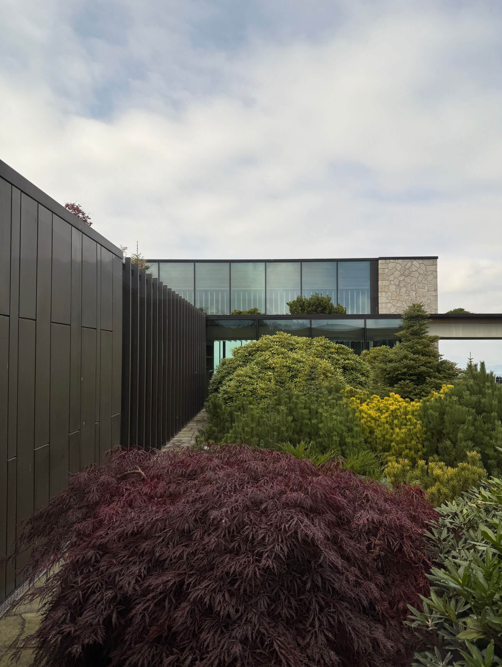 Layered garden planting beside contemporary hotel walls