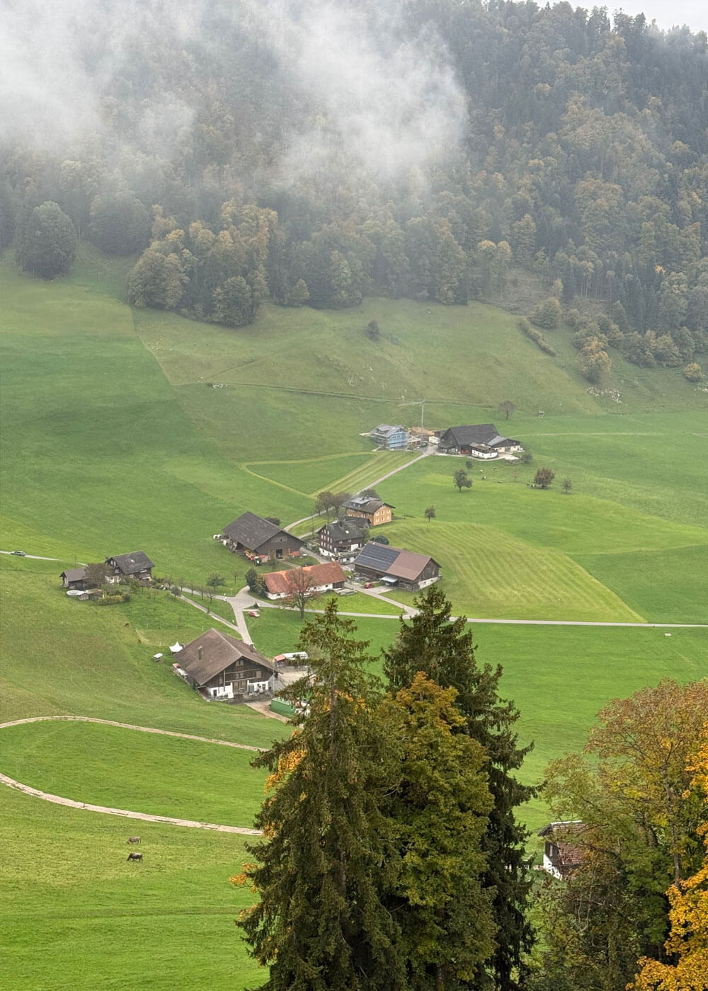 Farm buildings and green fields below misty woodland