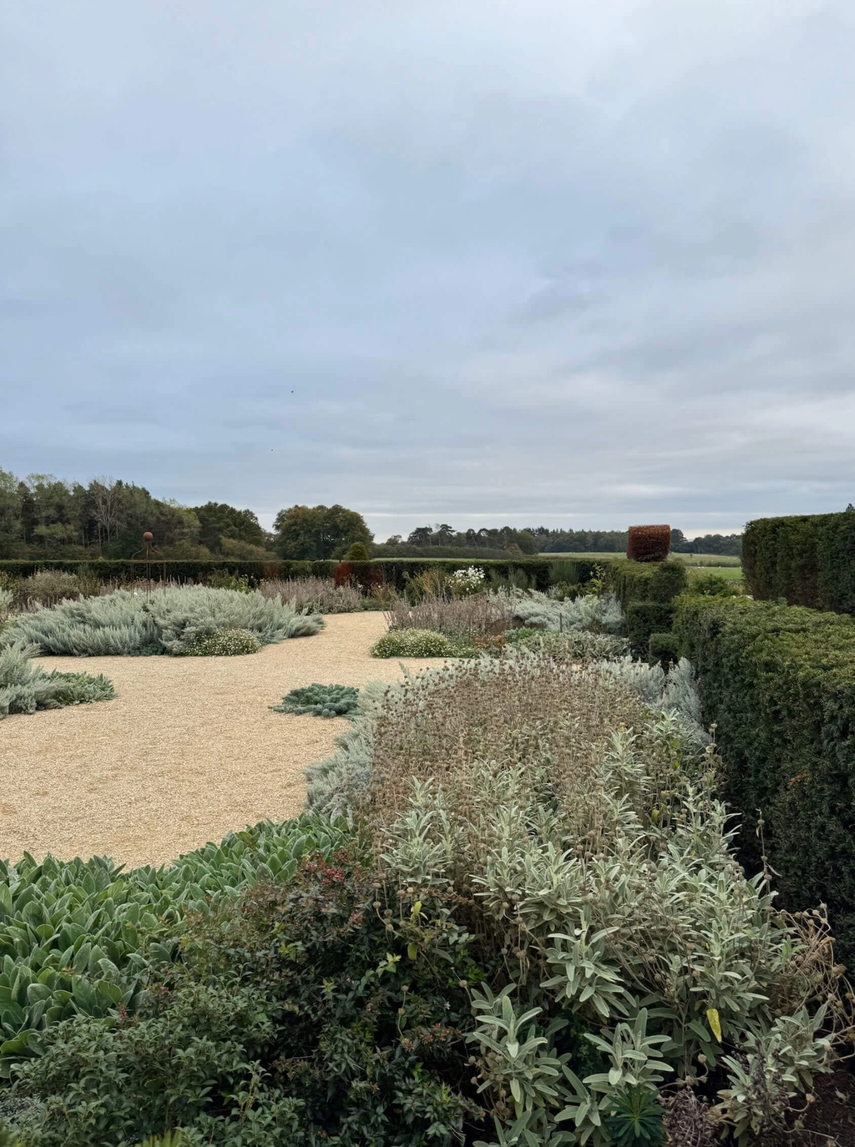 Gravel garden walks bordered by low clipped planting