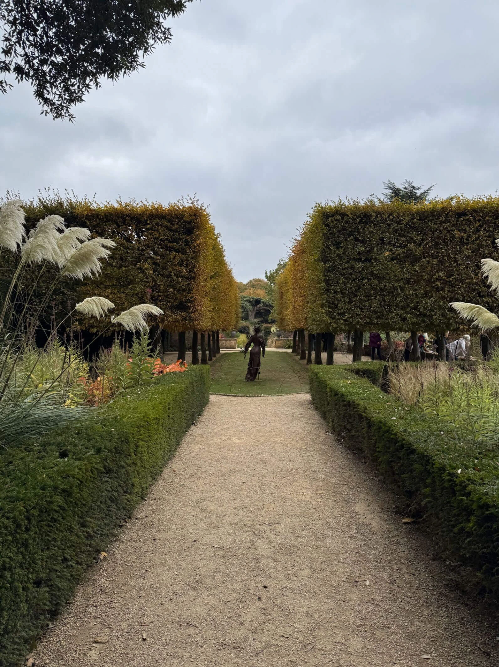 Gravel path between clipped trees and flowering borders
