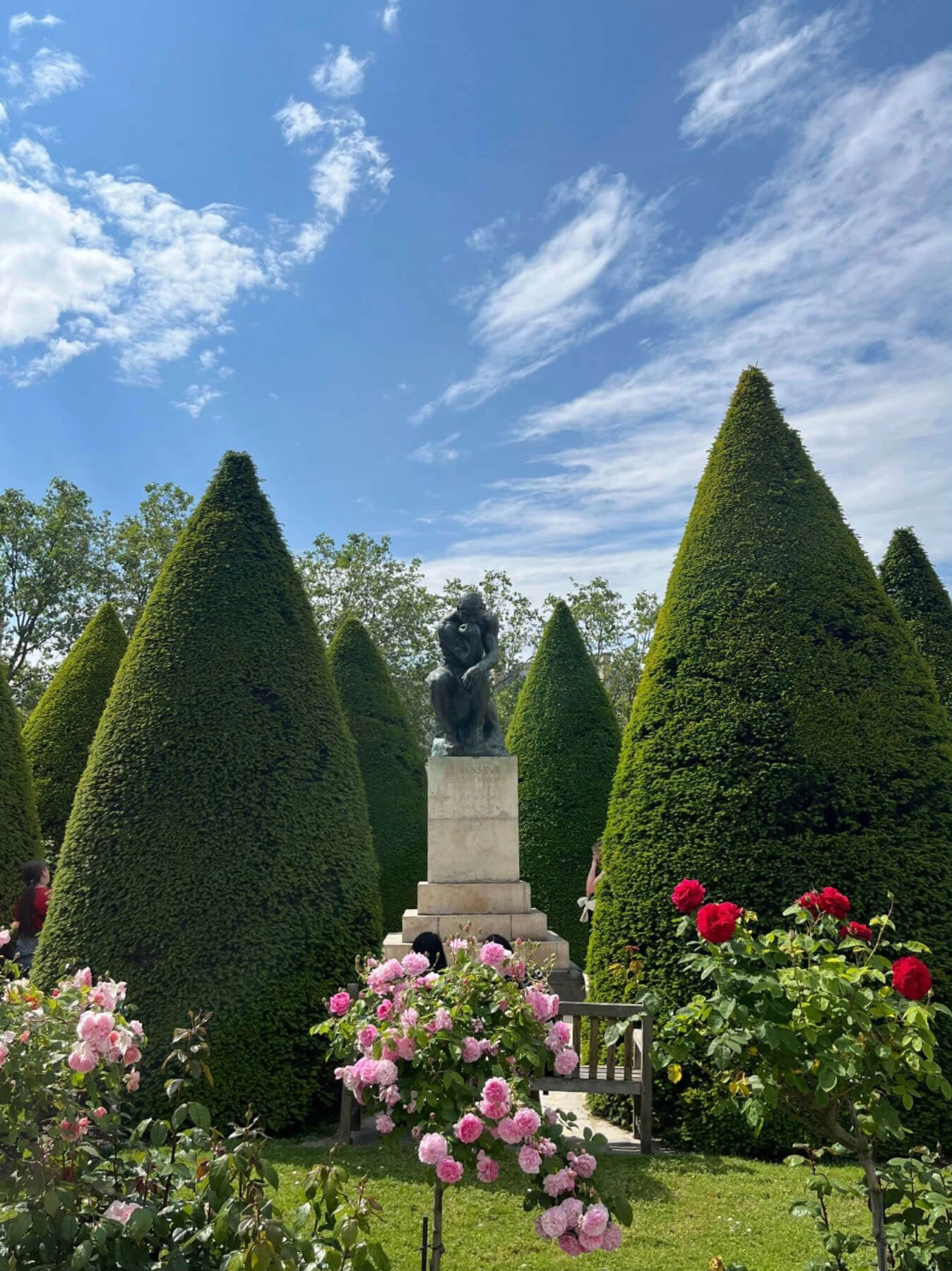 Conical clipped trees and roses in a formal garden