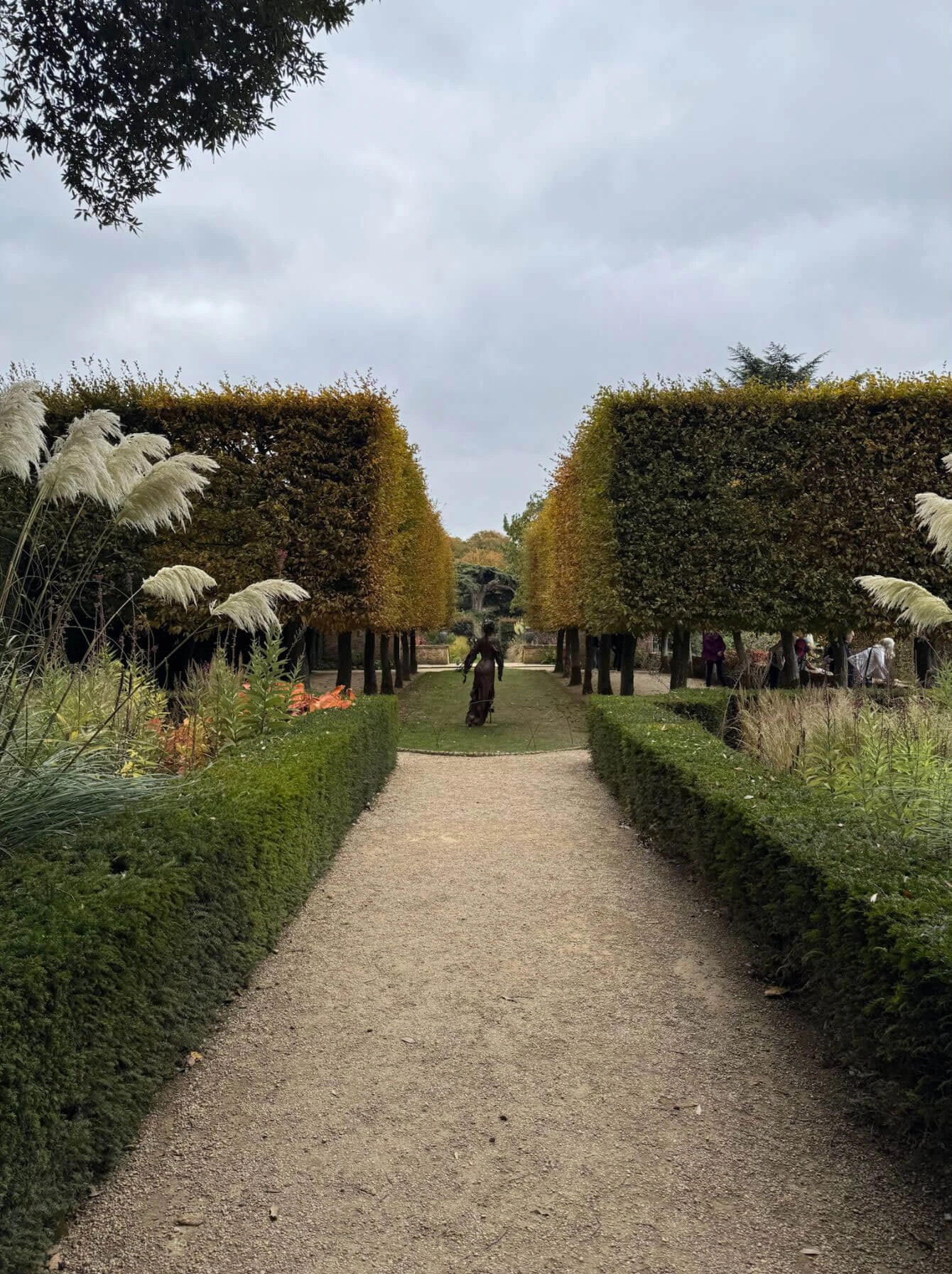 Tree-lined gravel path framed by flowering borders