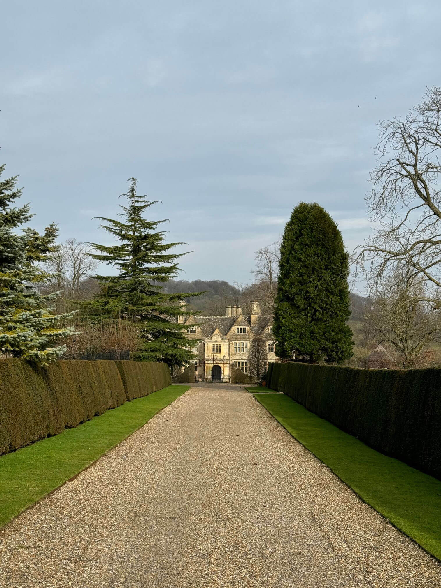 Gravel approach to a manor between tall clipped hedges