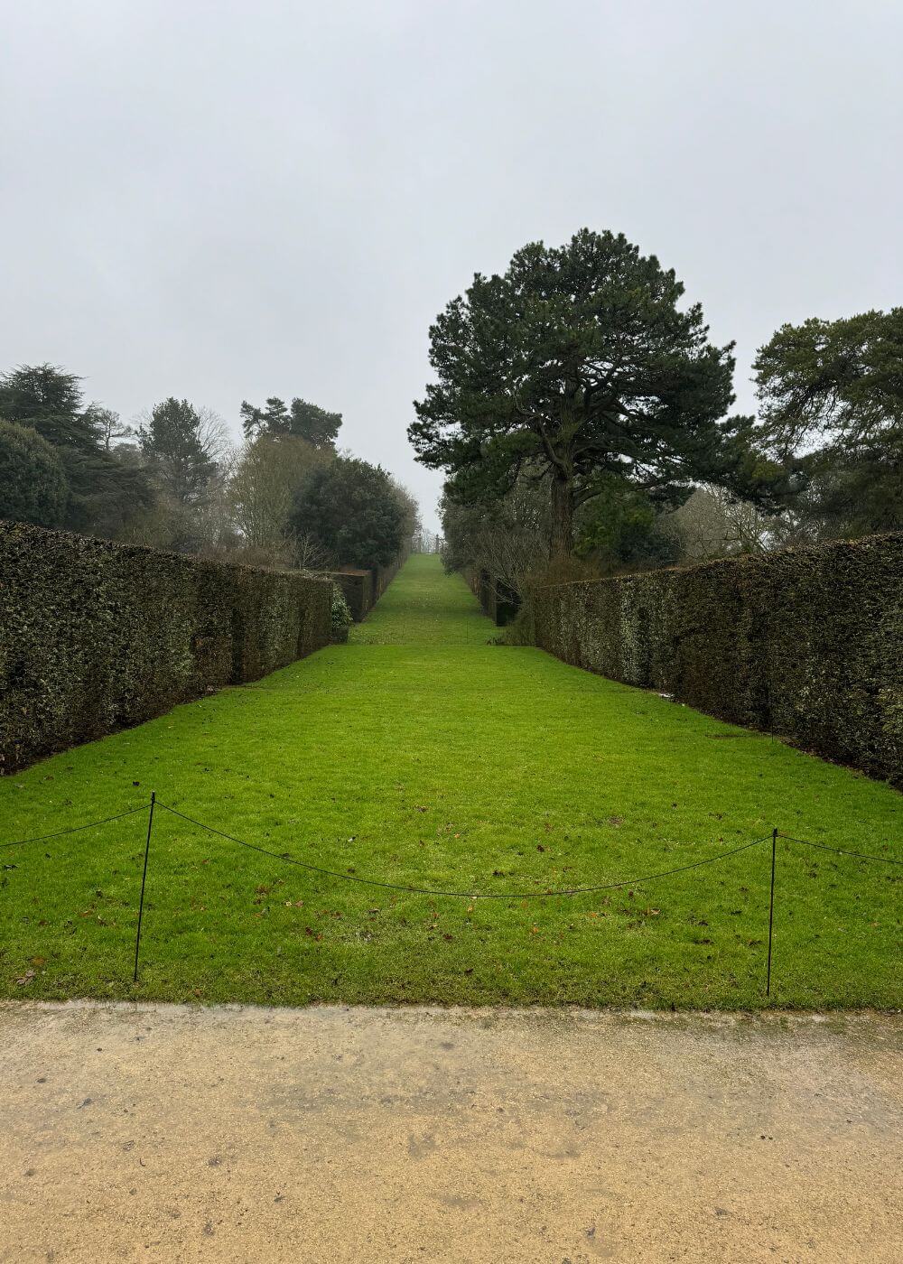 Grass walk enclosed by hedges and mature trees
