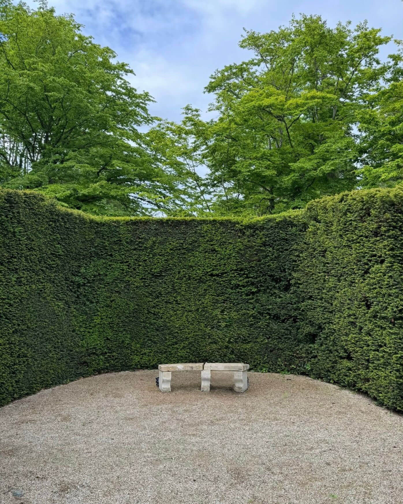 Stone bench in a gravel enclosure surrounded by tall hedges