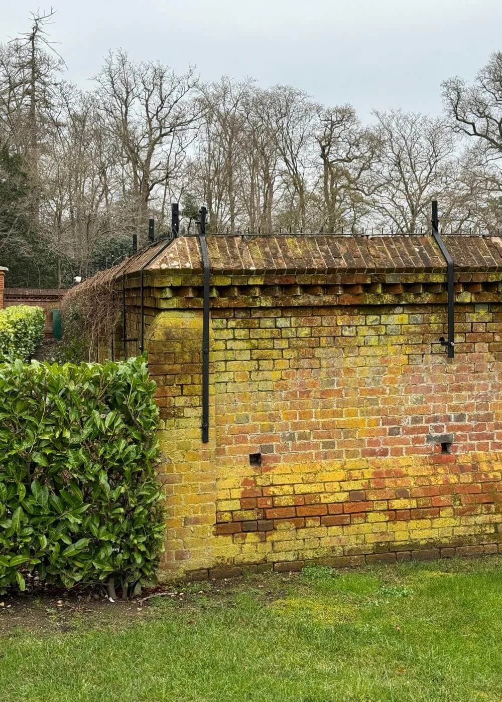 Moss-covered brick wall beside a planted border