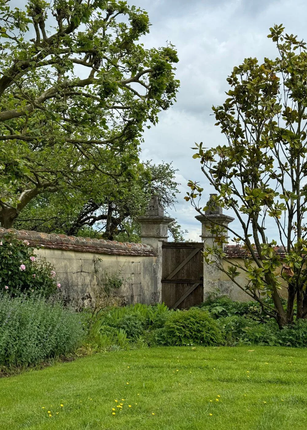 Timber garden gate set into a stone wall beneath trees