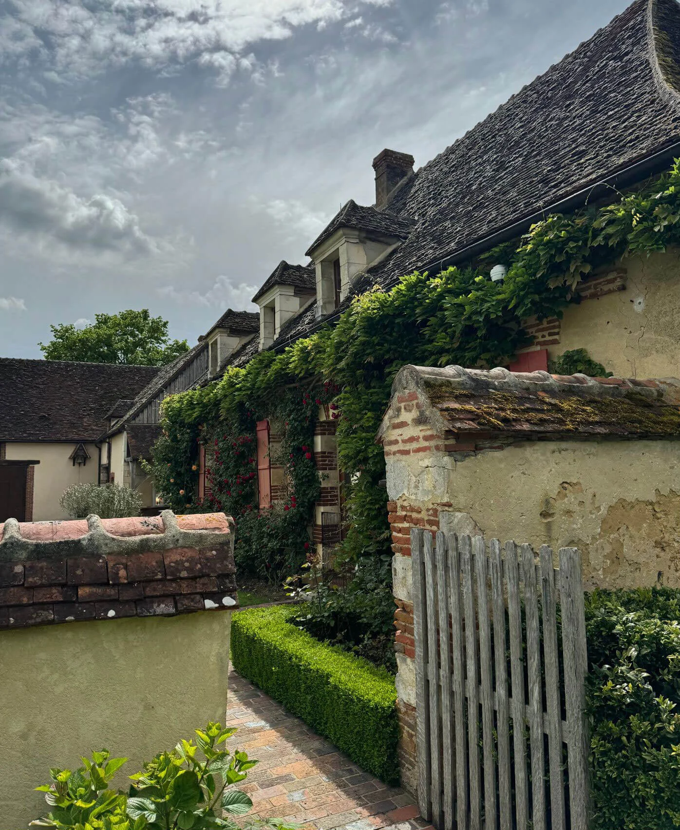 Climbing foliage on stone garden buildings beside a gate