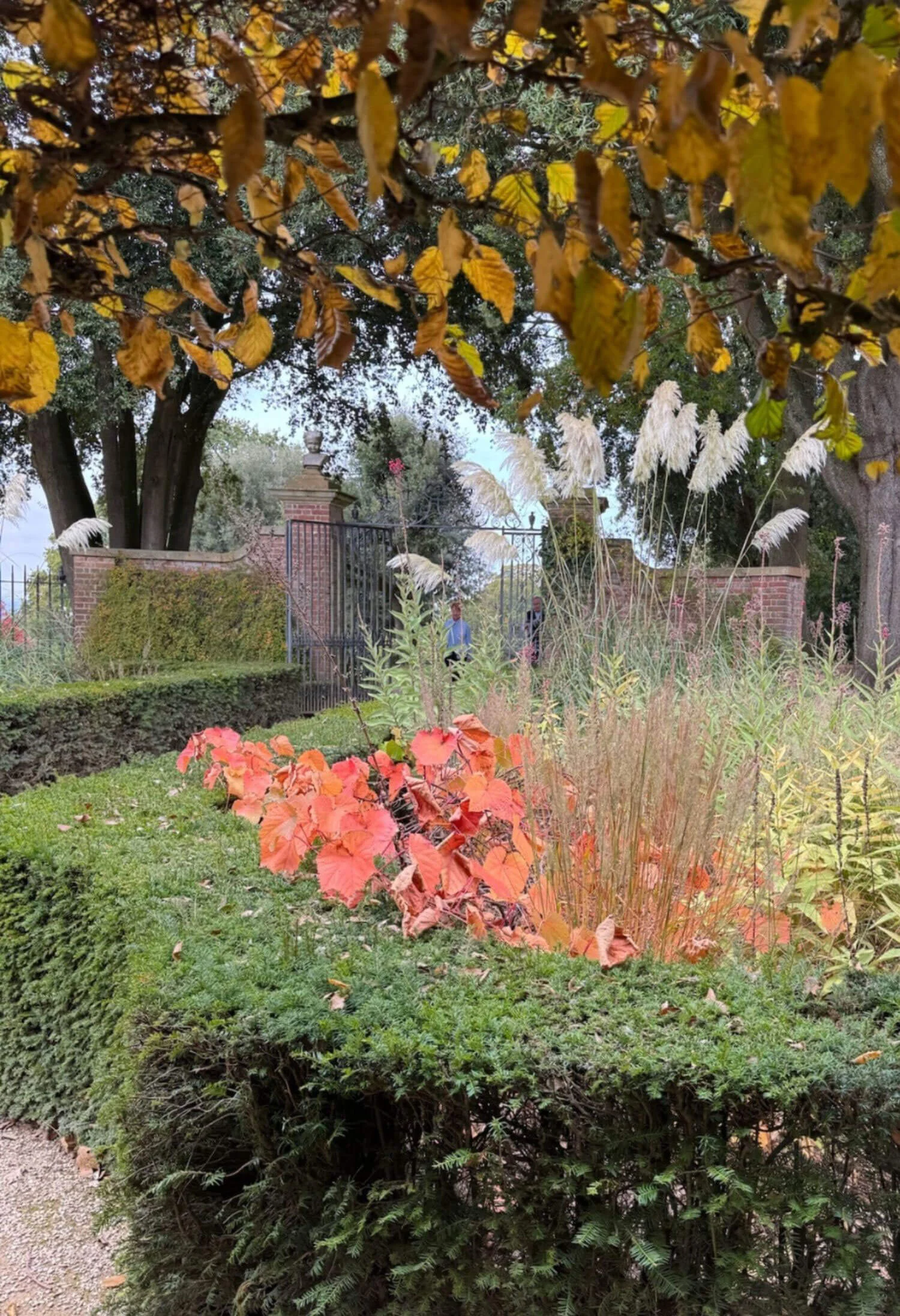 Autumn garden planting above a stone retaining wall