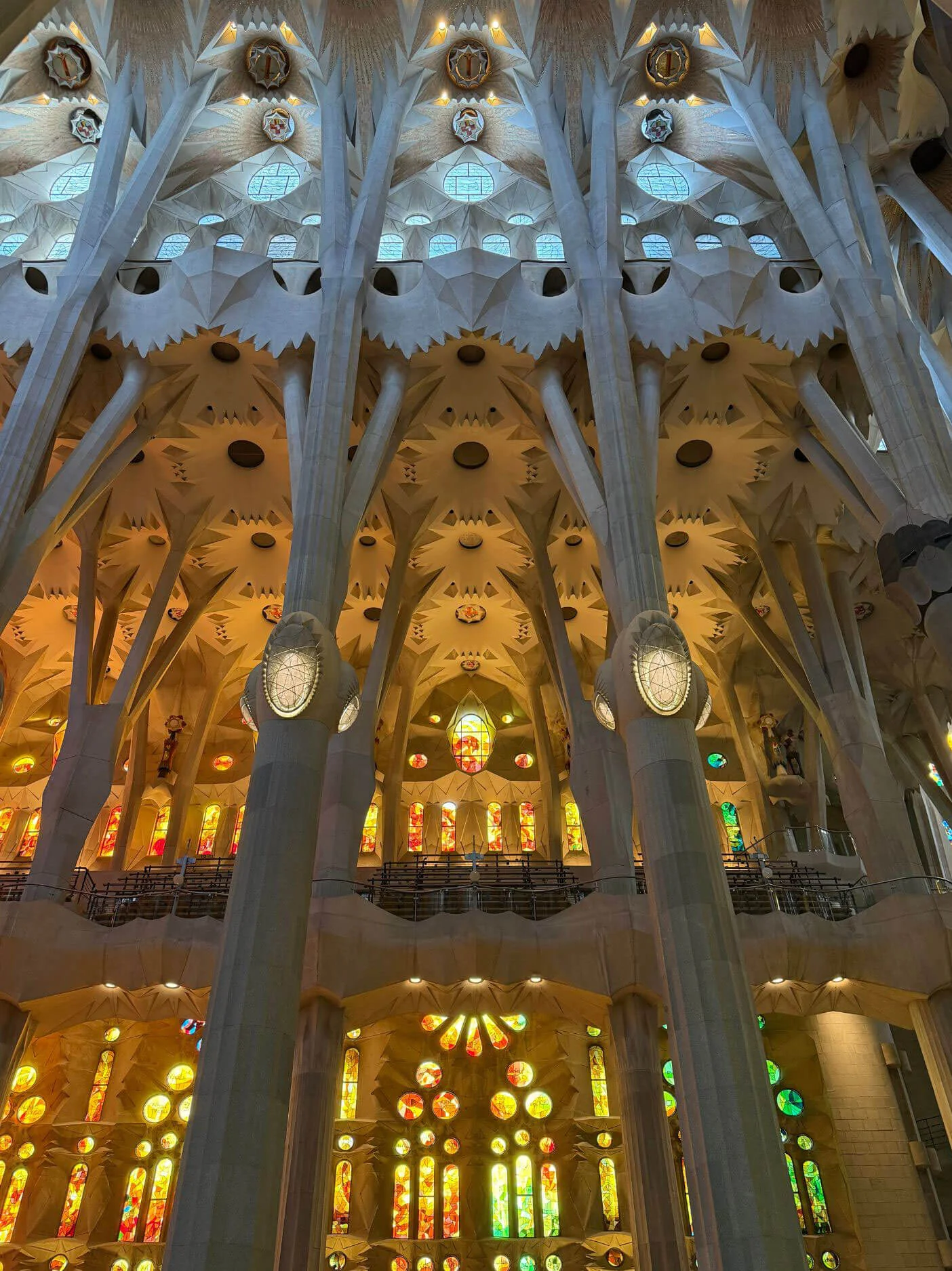 Branching interior columns illuminated by coloured glass