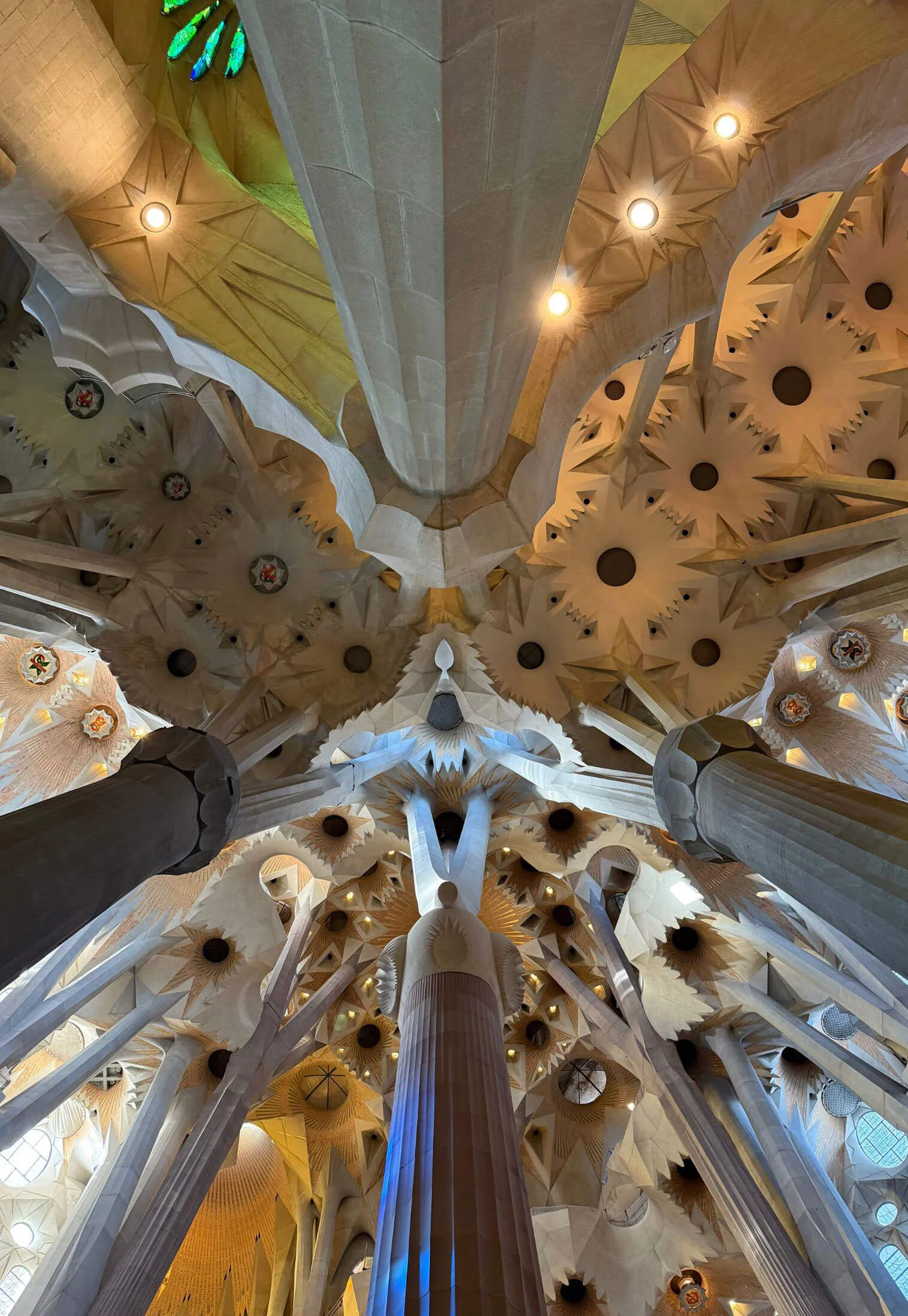 Branching ceiling structure seen from below
