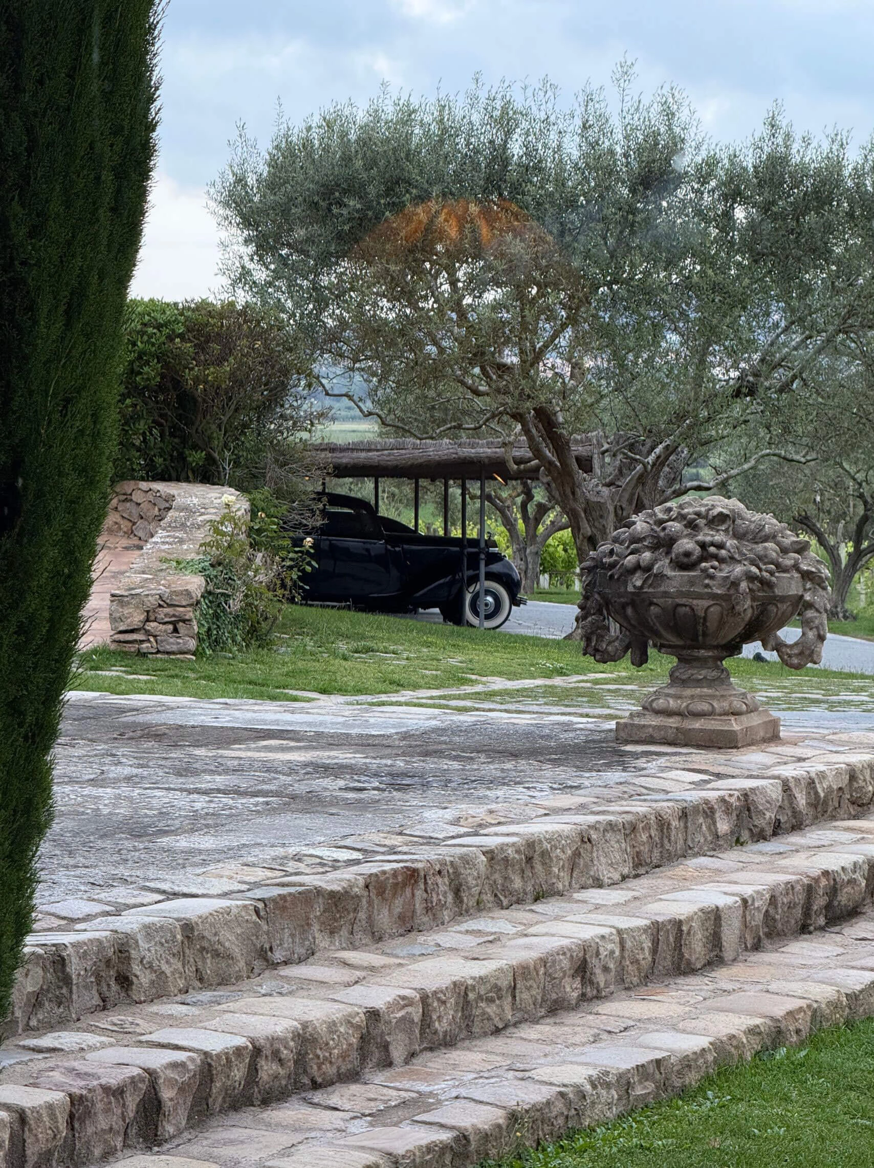 Stone garden steps beside an olive tree at Mas de Torrent