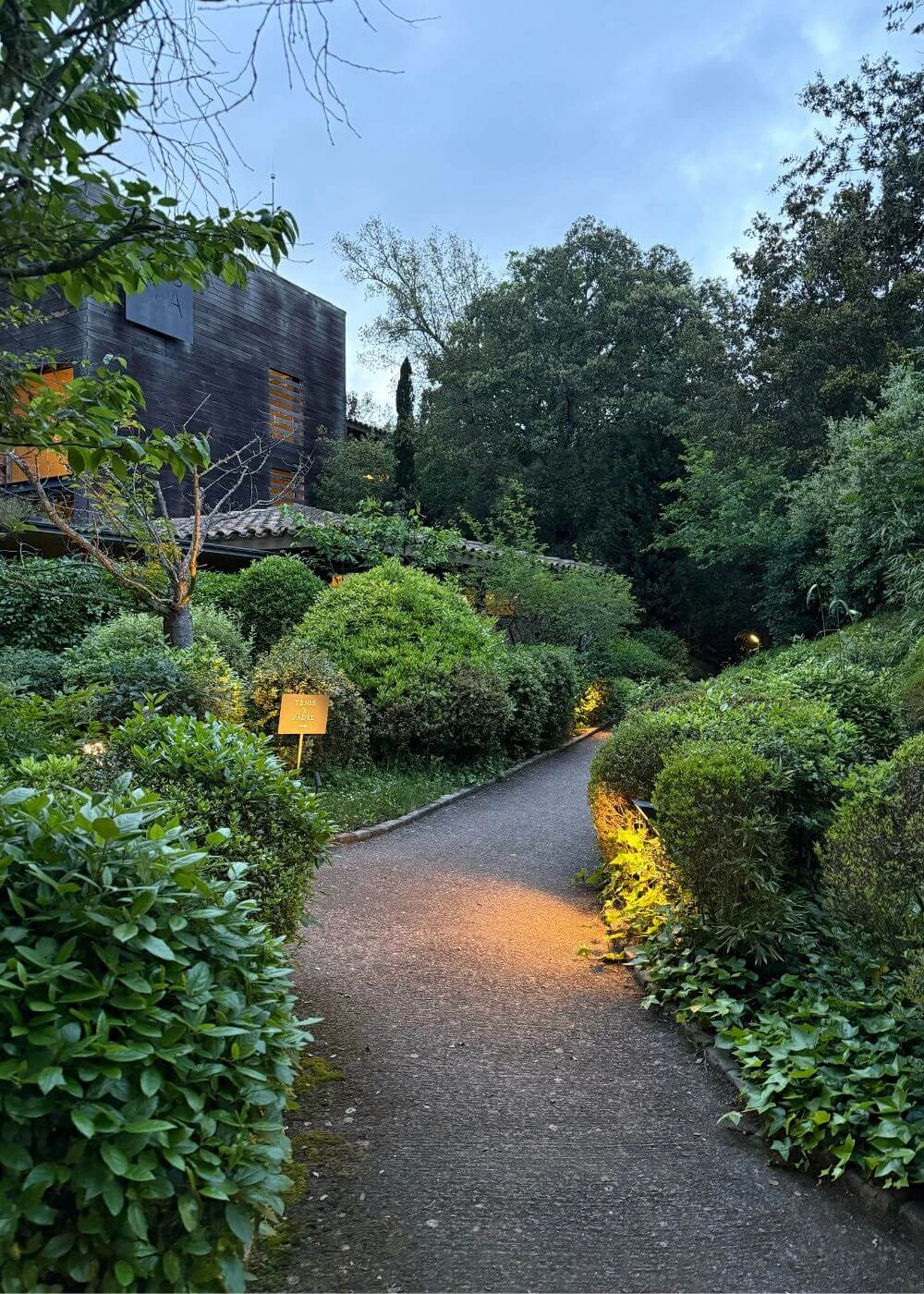 Illuminated winding garden path beside a contemporary building